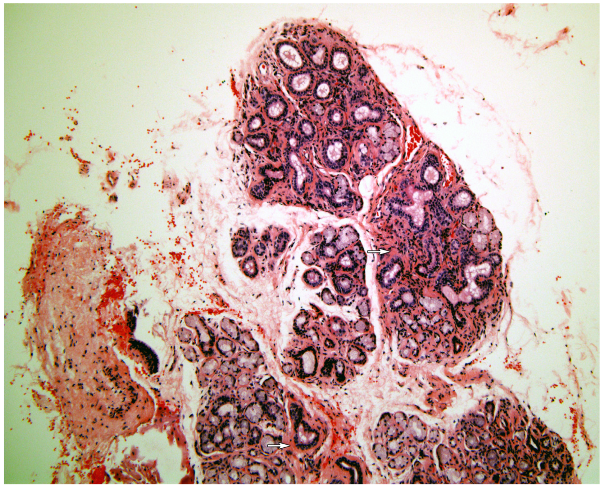 Medicina 58 00175 g004 550