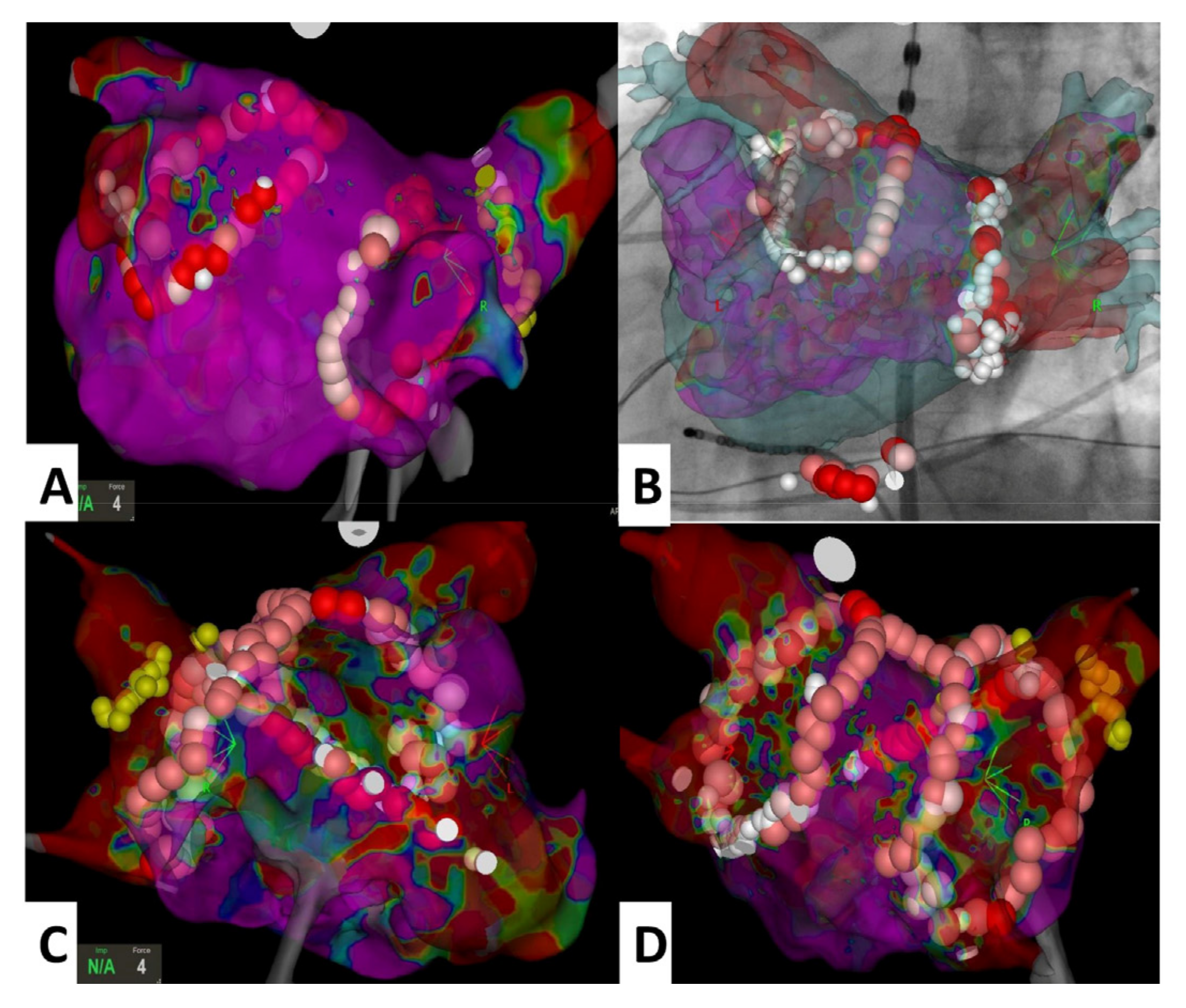 Medicina 58 00187 g002