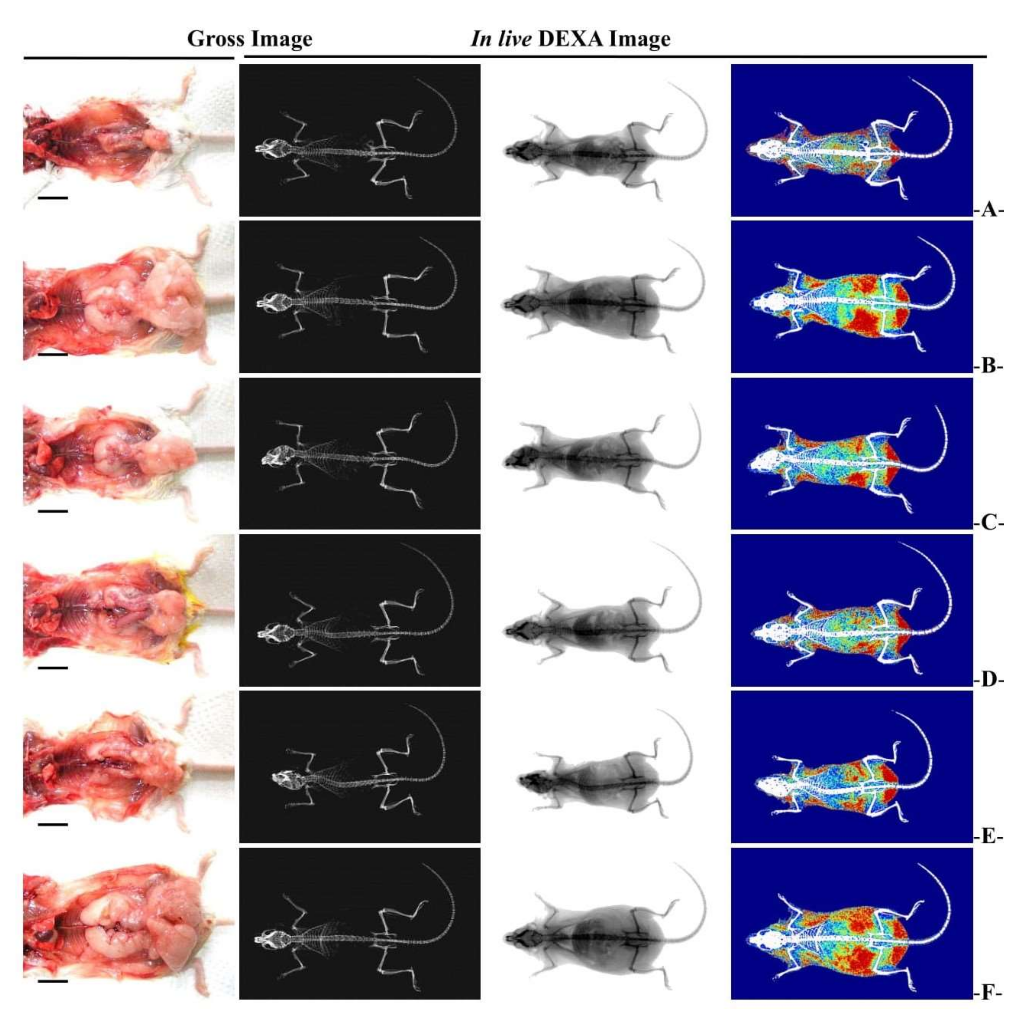 Medicina 58 00189 g004 Medicina 58 00189 g004