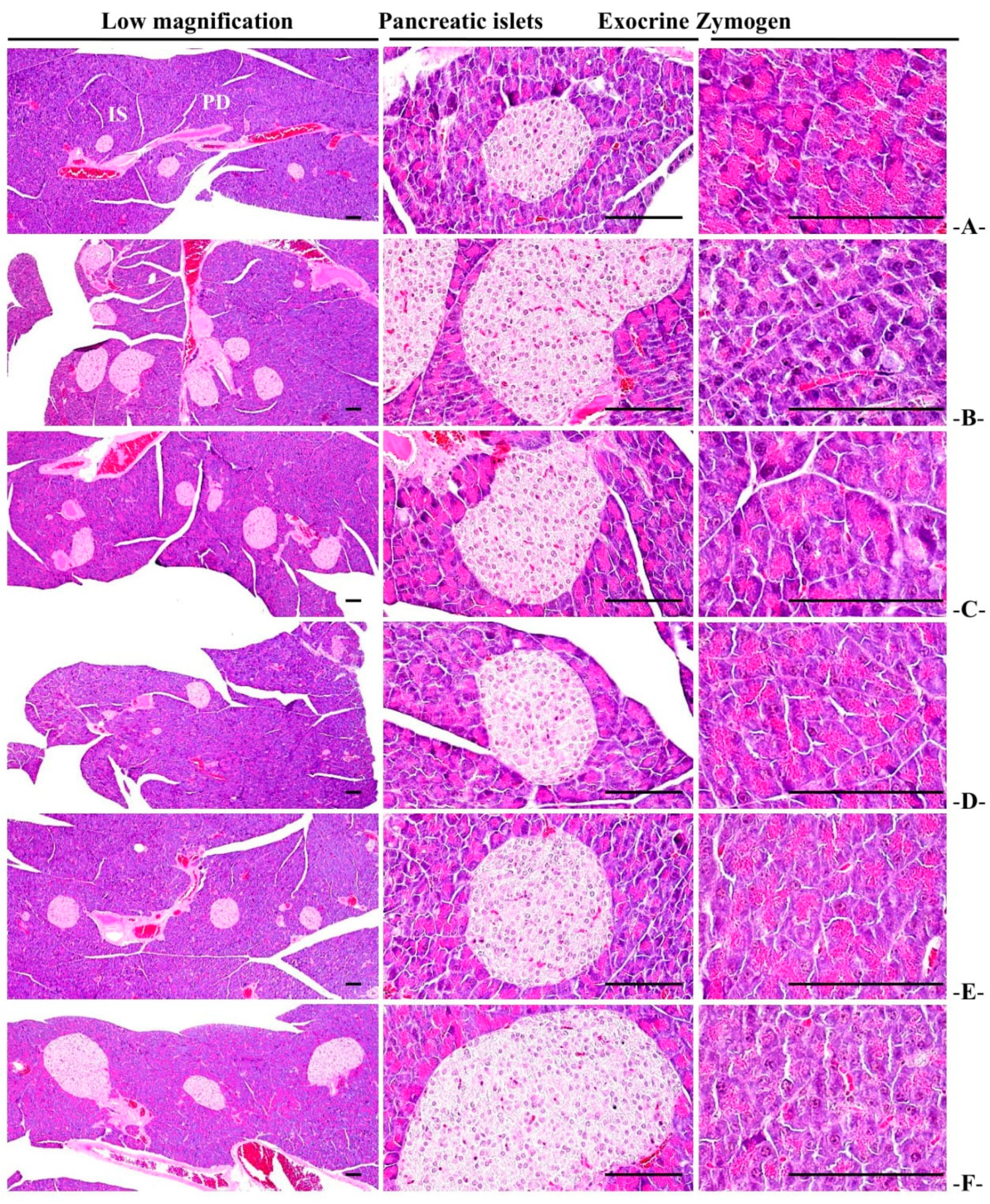 Medicina 58 00189 g007 Medicina 58 00189 g007