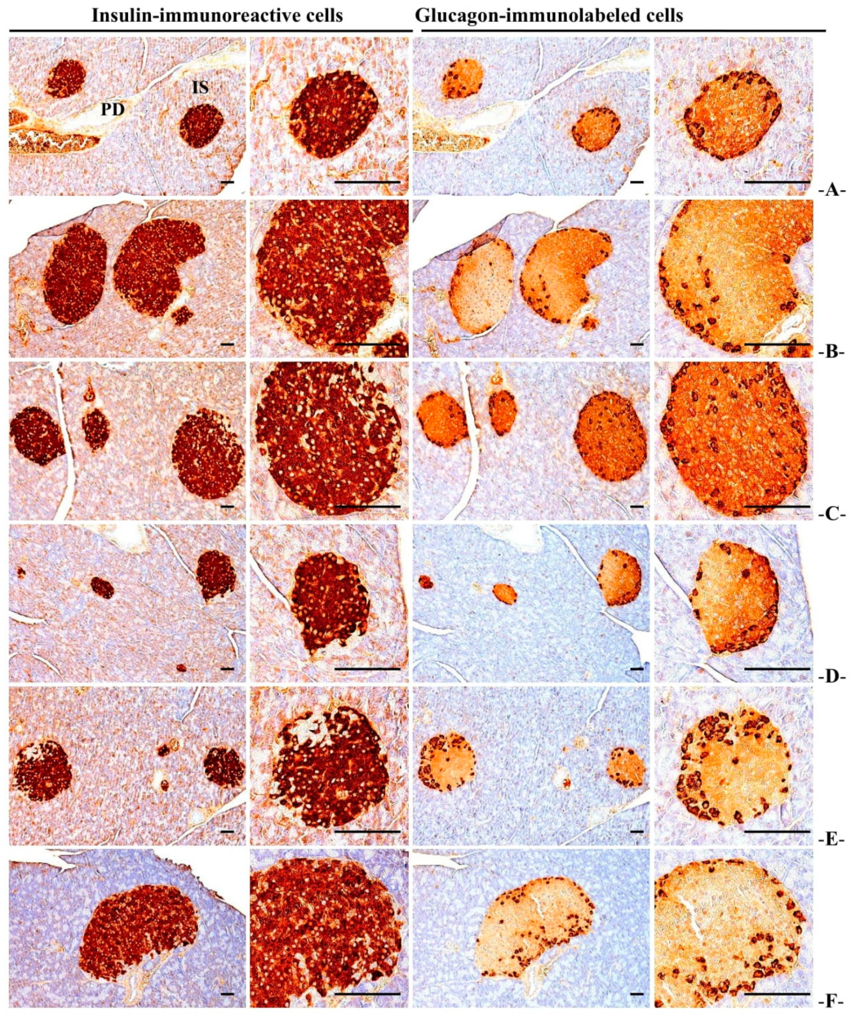 Medicina 58 00189 g009 Medicina 58 00189 g009