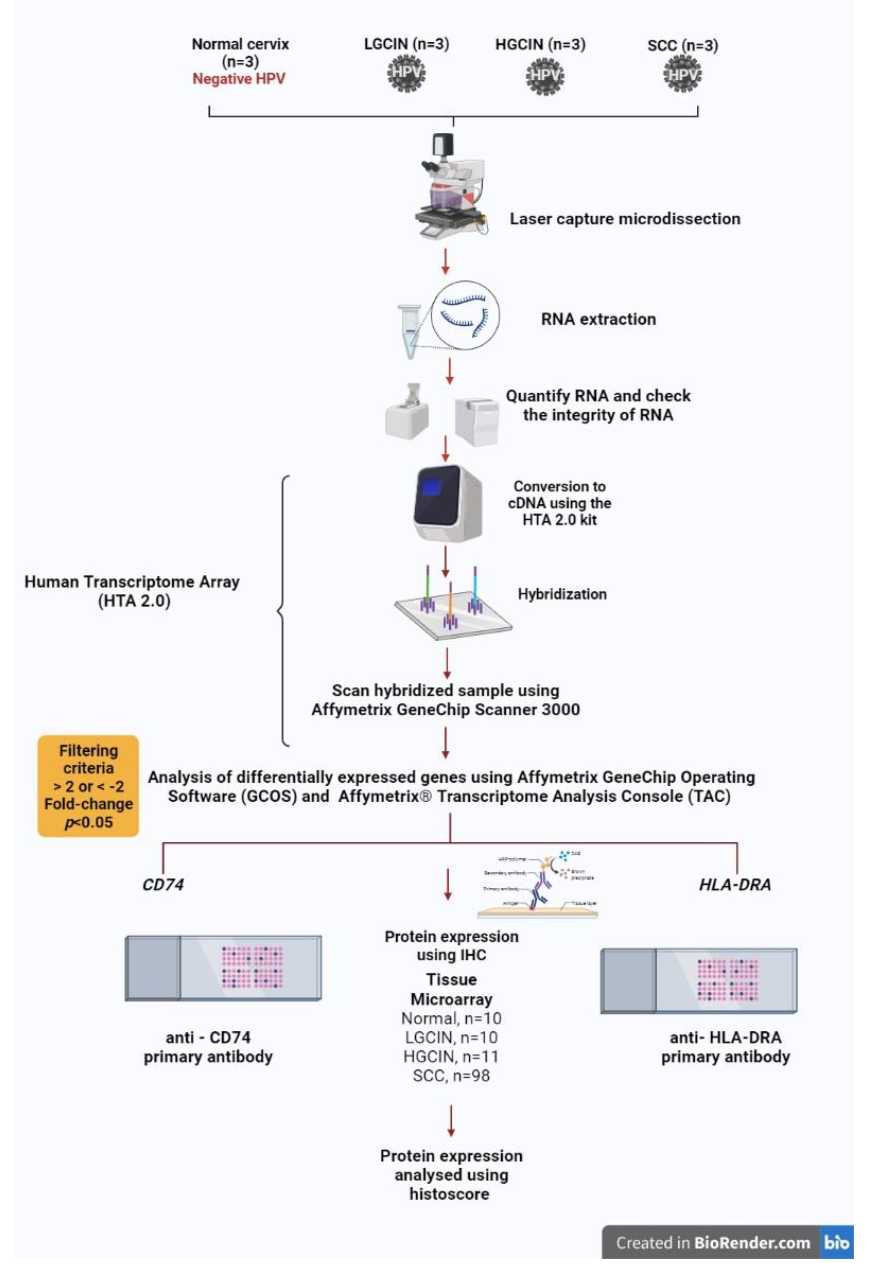 Medicina 58 00190 g001 550