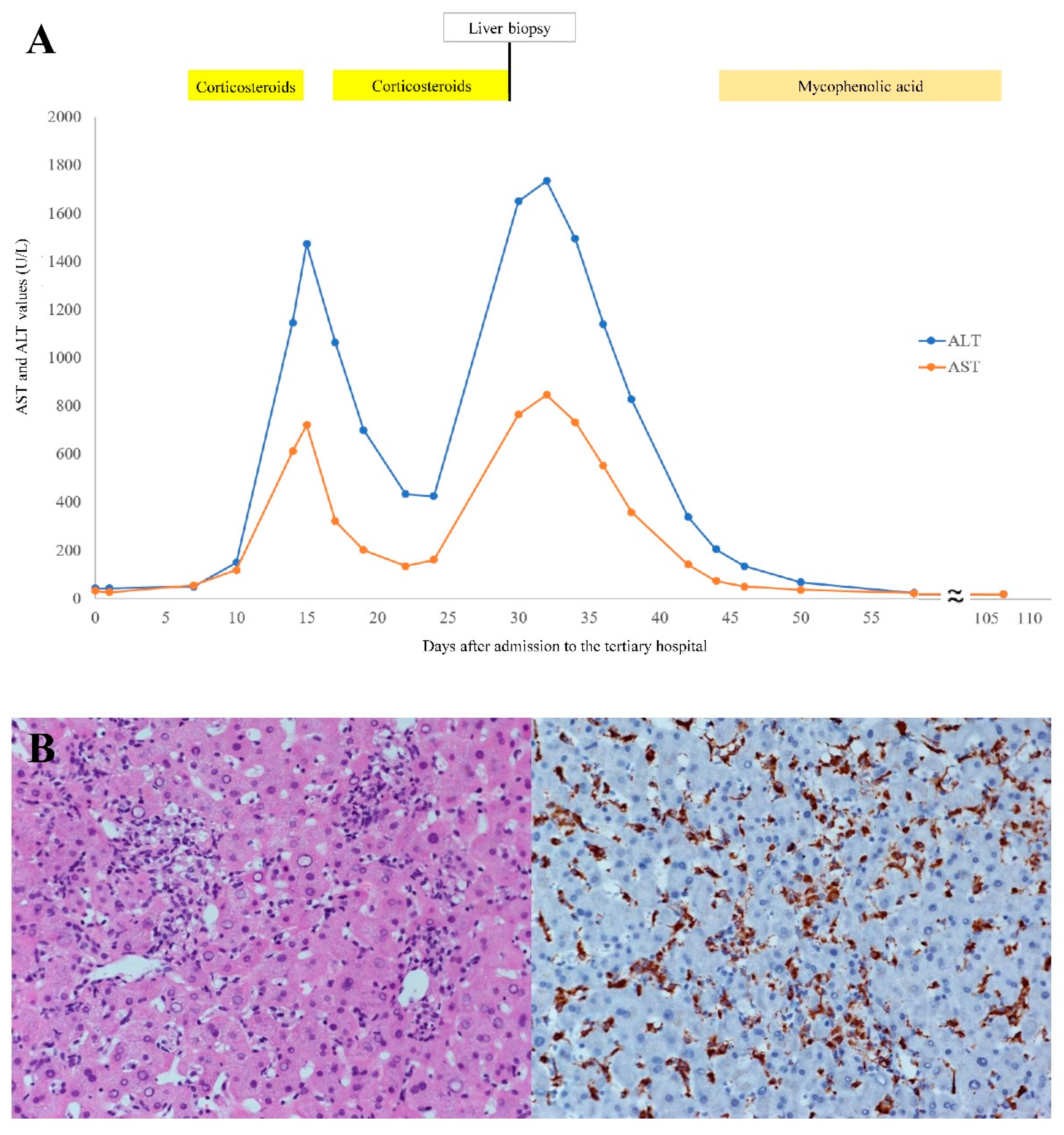 Medicina 58 00191 g001
