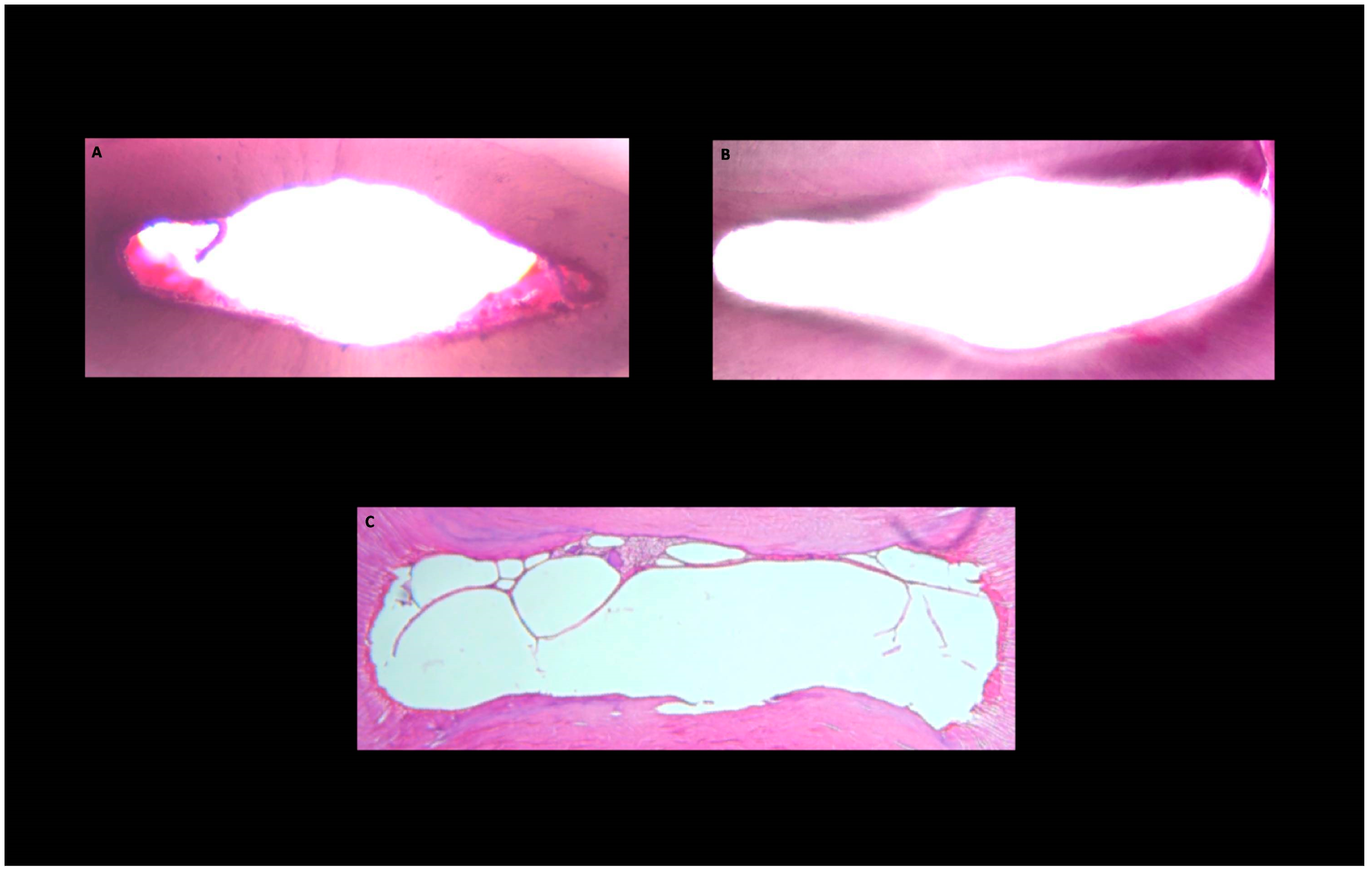 Medicina 58 00193 g001