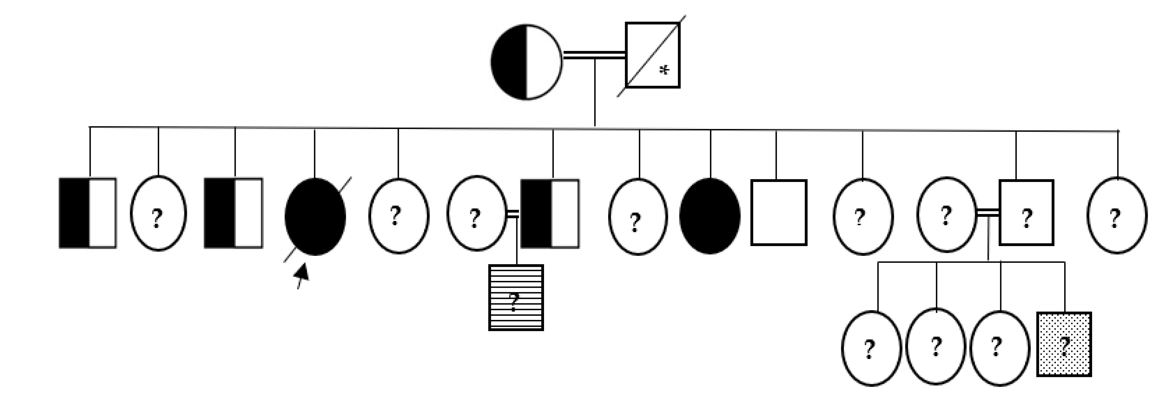 Medicina 58 00202 g001