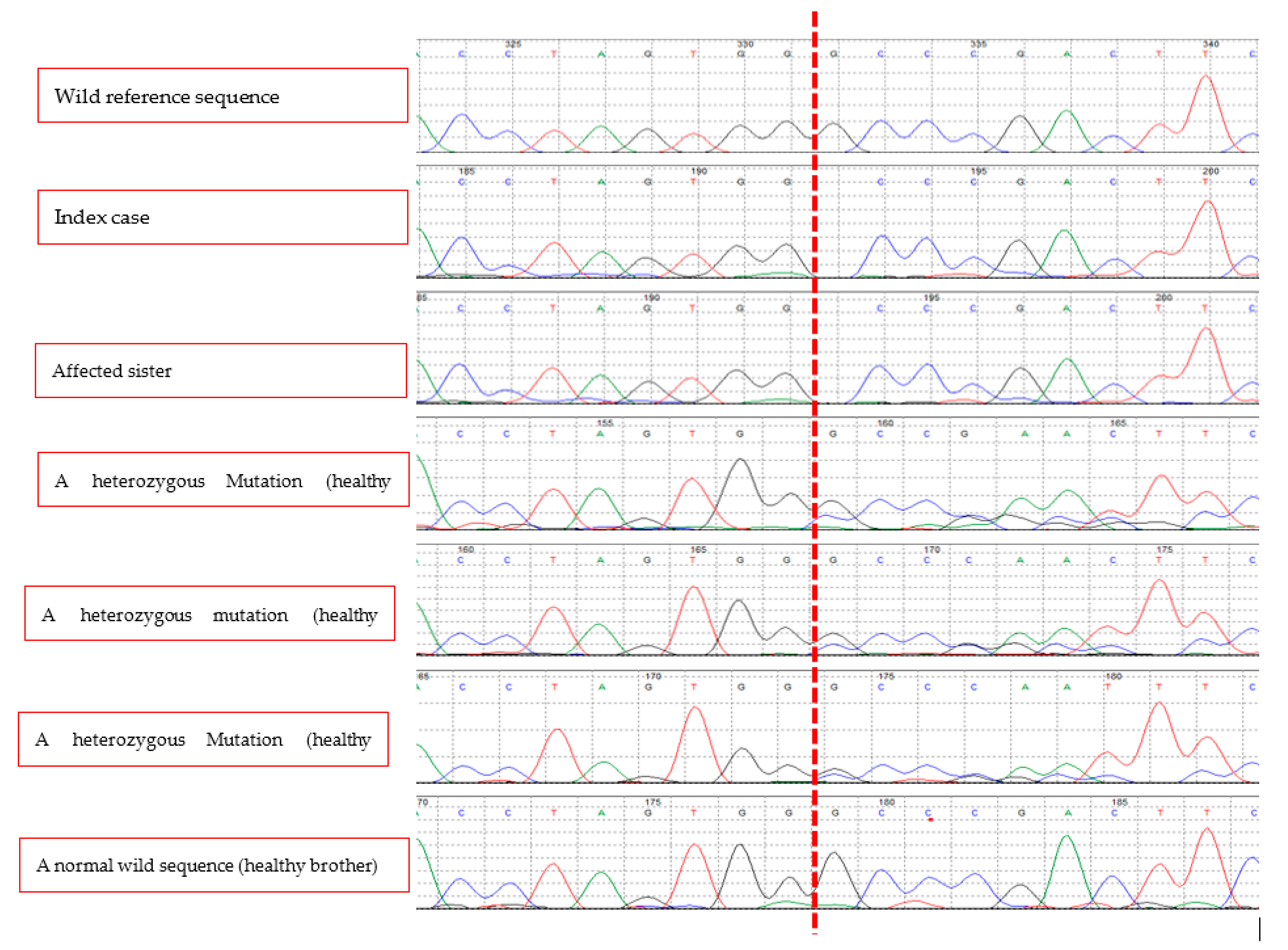 Medicina 58 00202 g003