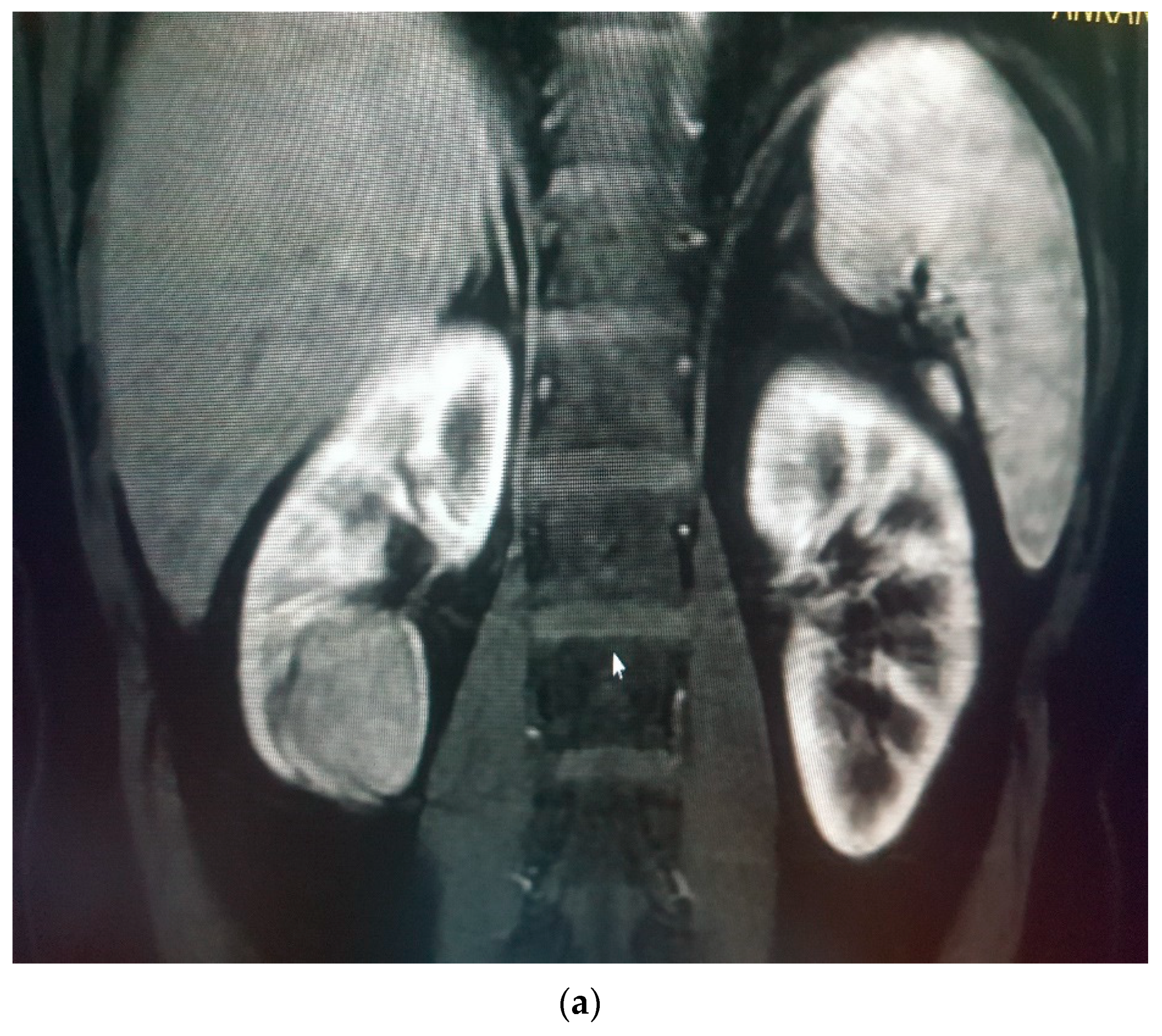 Medicina 58 00221 g003a