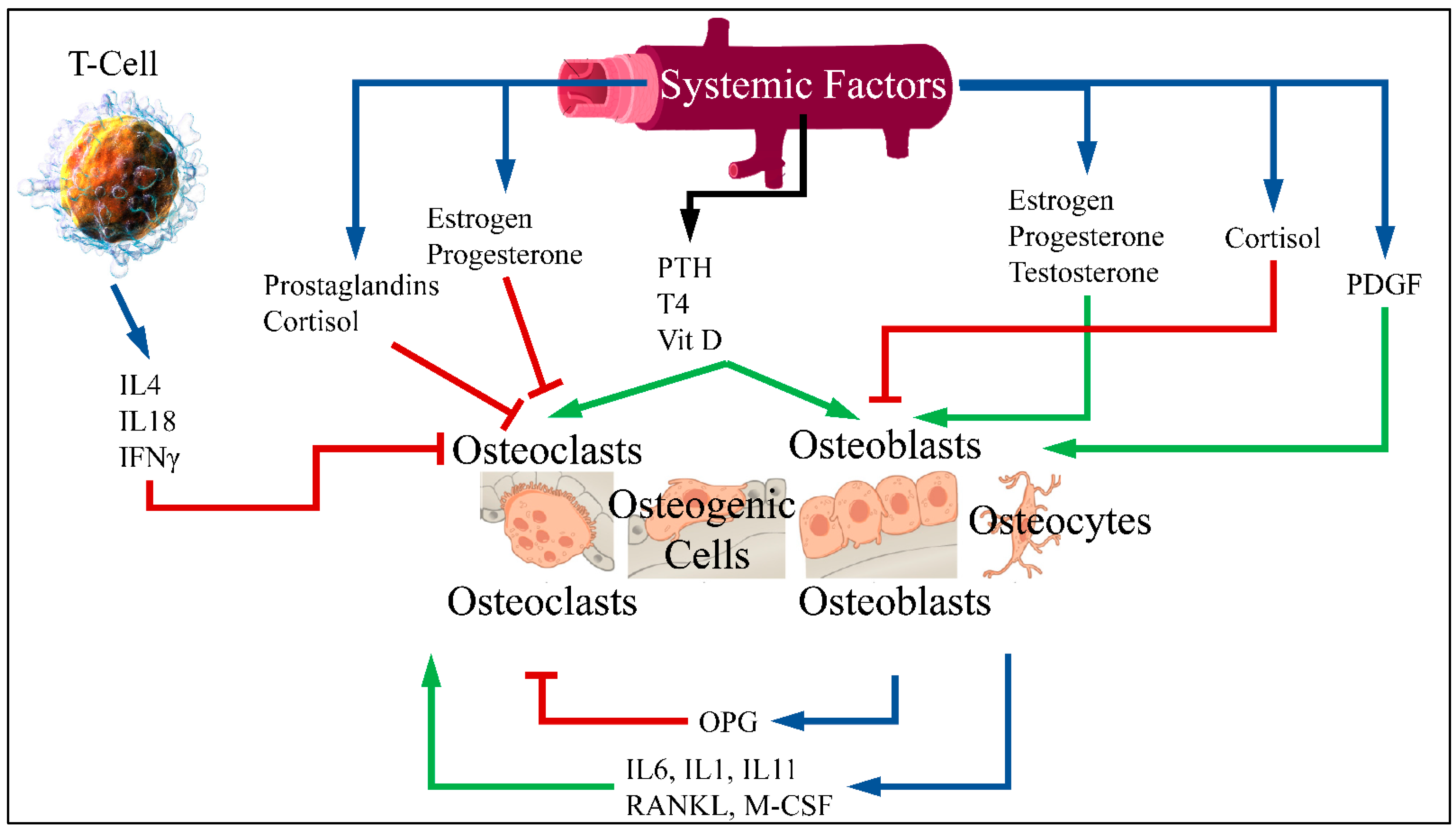 Medicina 58 00224 g001 550