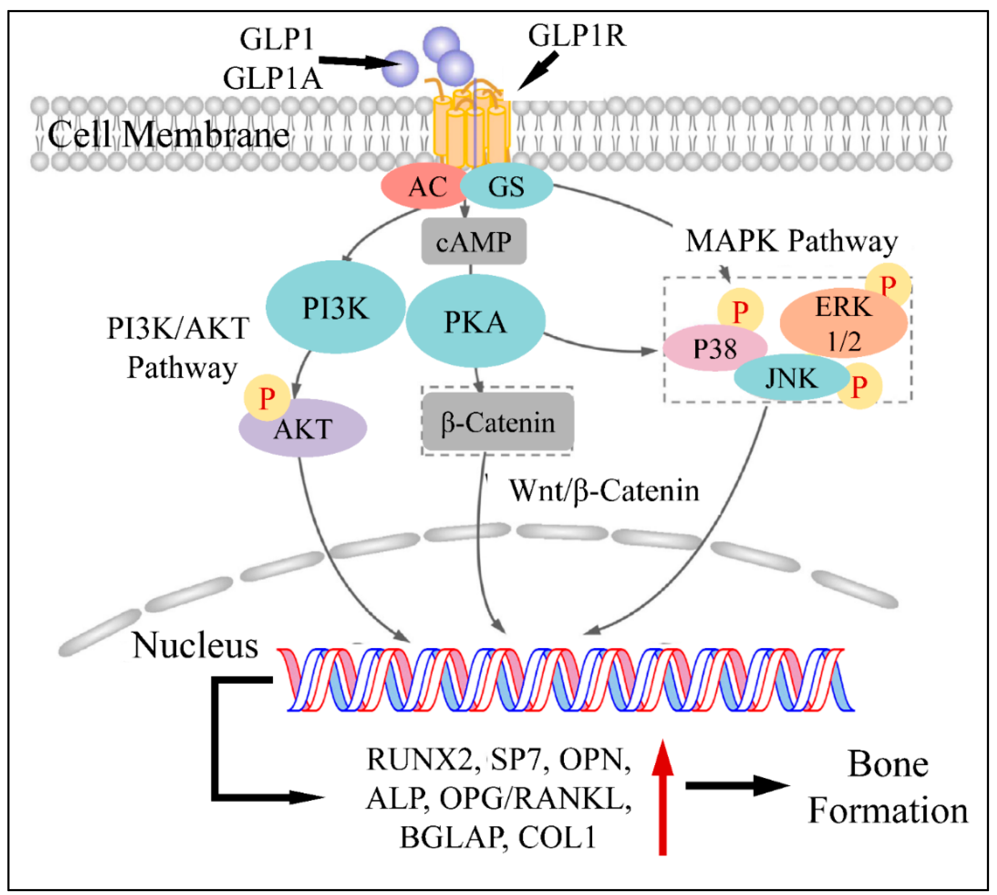 Medicina 58 00224 g002 550