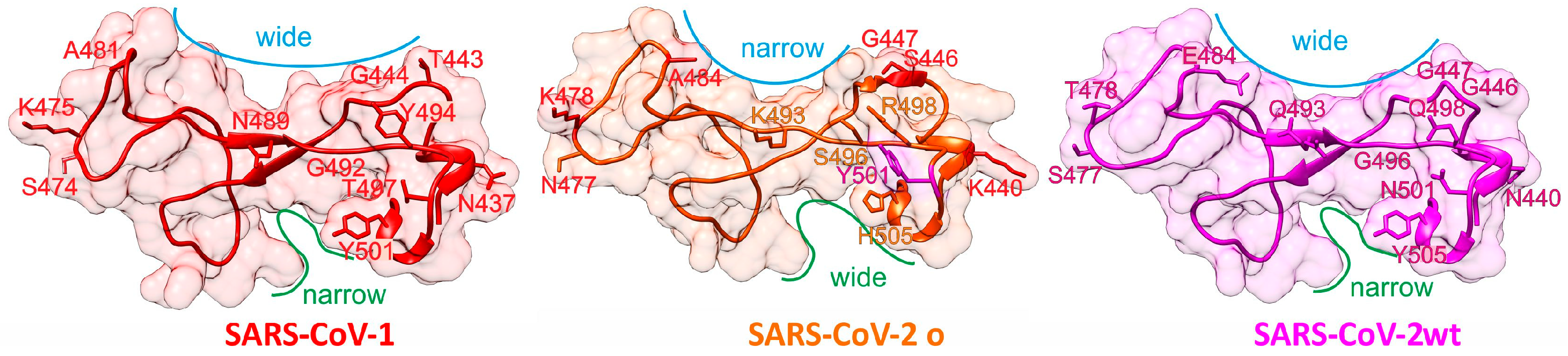 Medicina 58 00226 g001 550