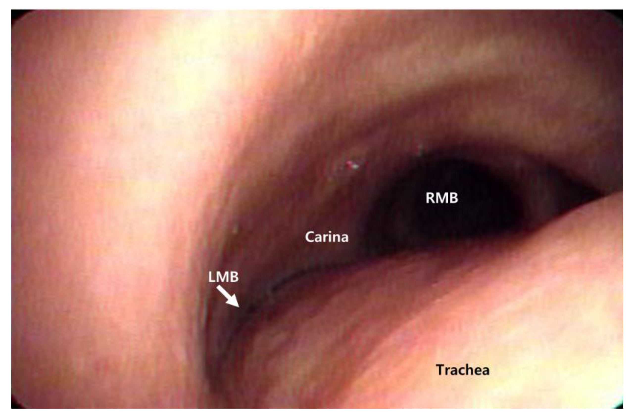 Medicina 58 00231 g003 550