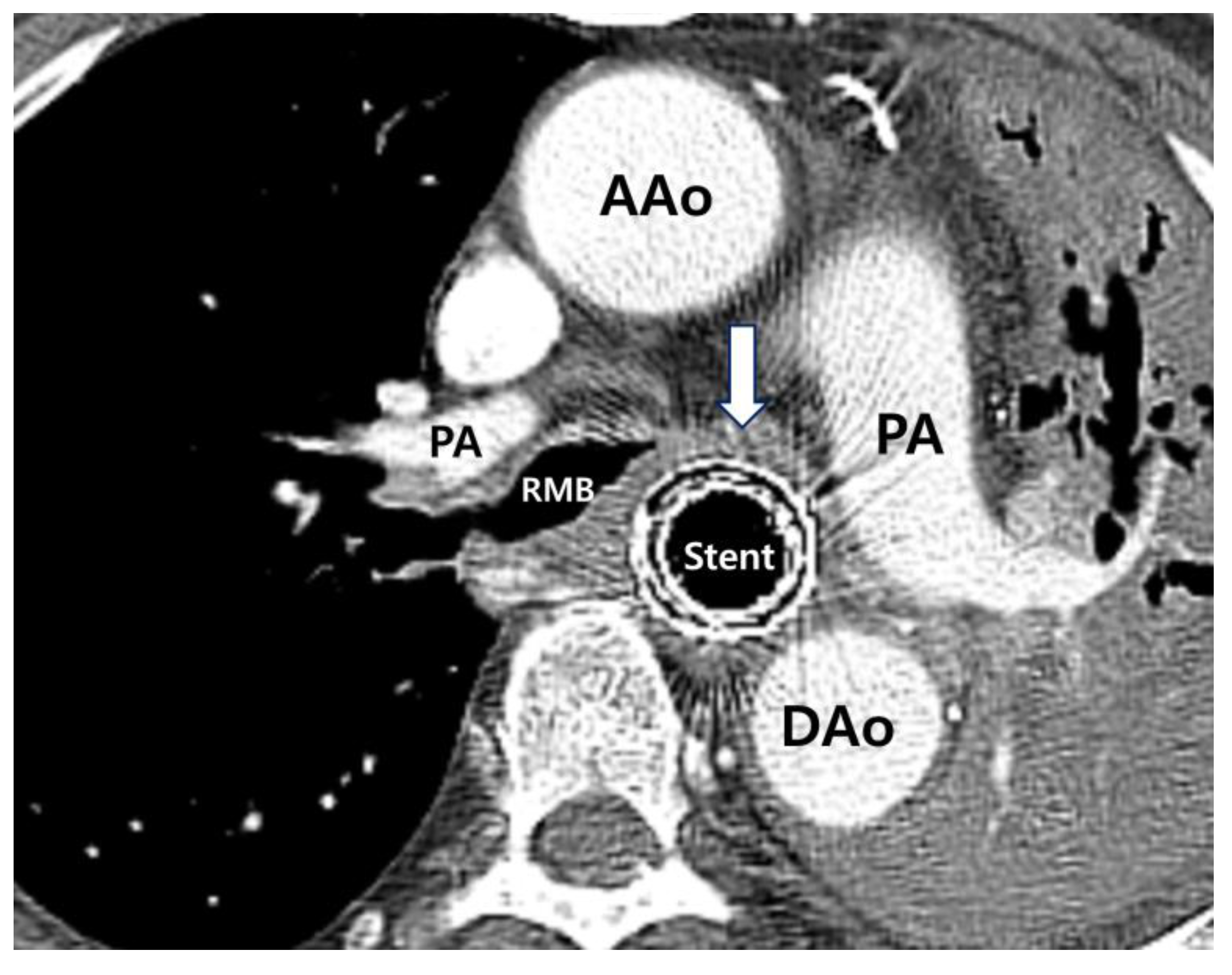 Medicina 58 00231 g004 550