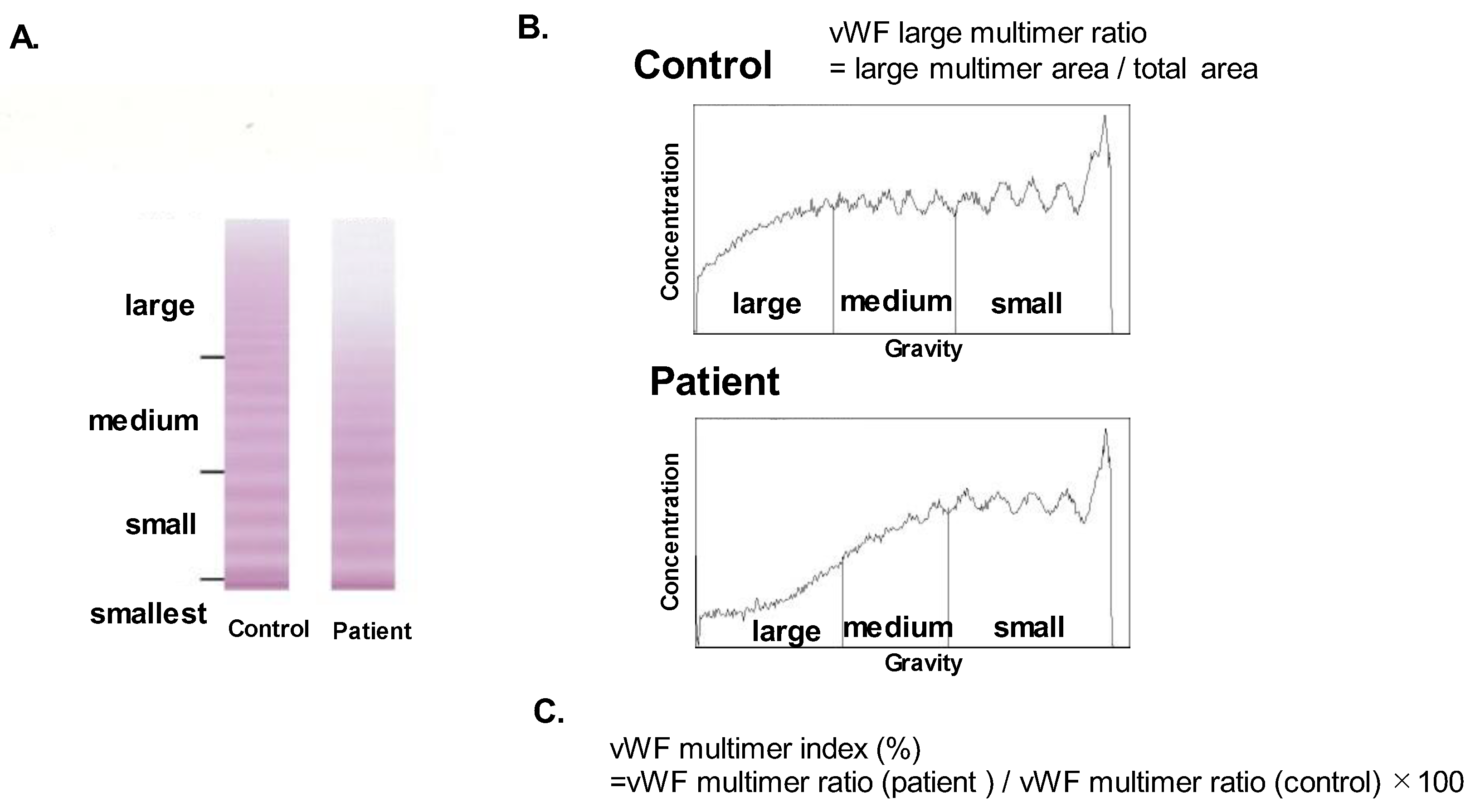Medicina 58 00238 g001