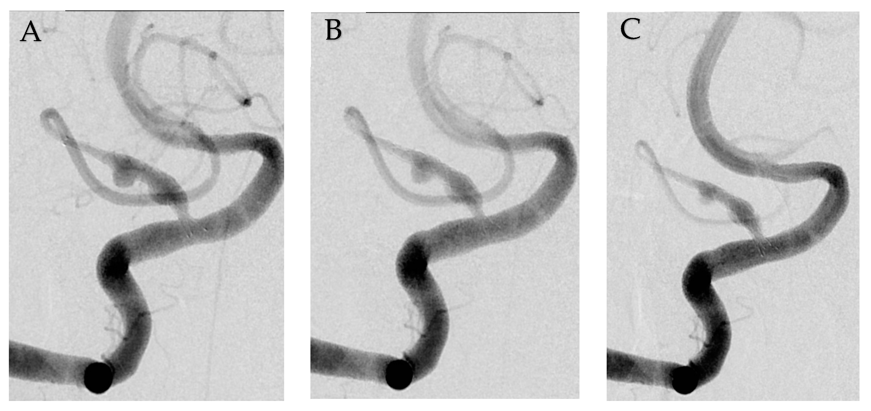 Medicina 58 00240 g002