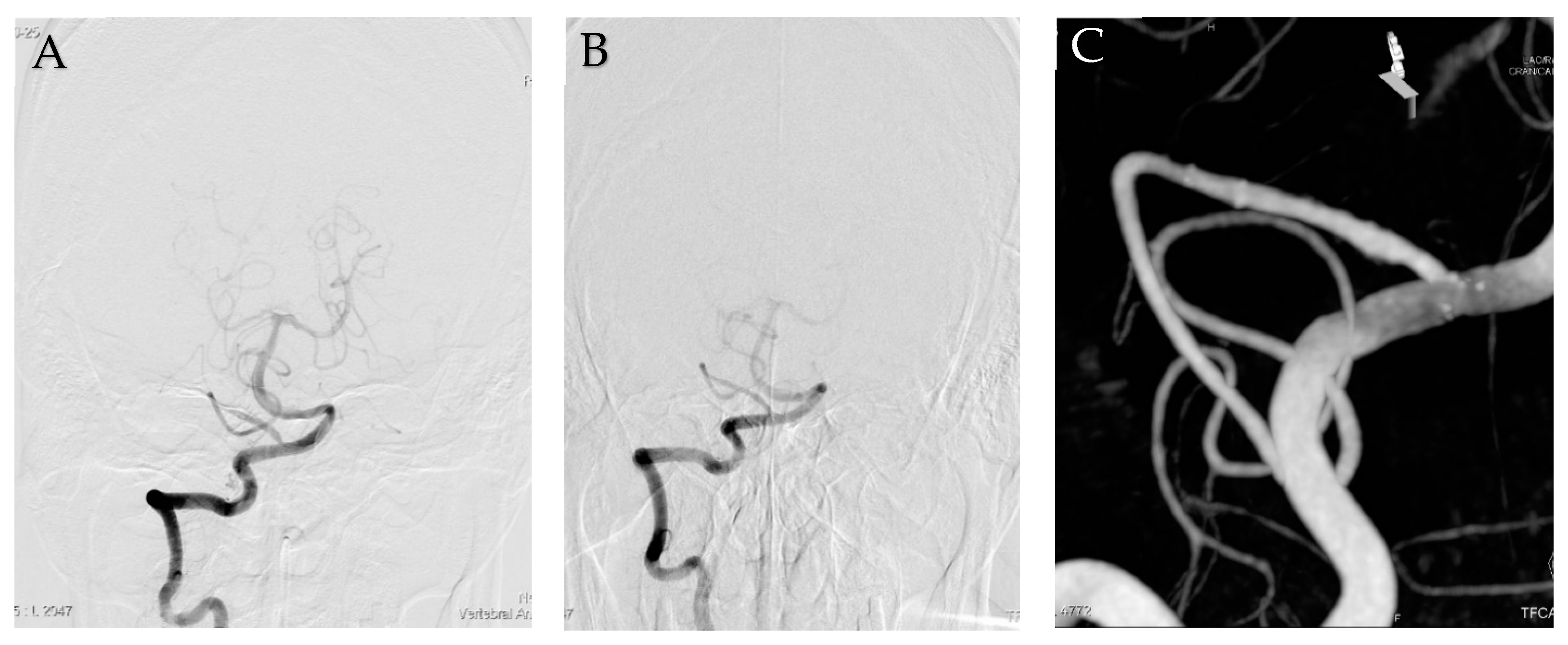 Medicina 58 00240 g003