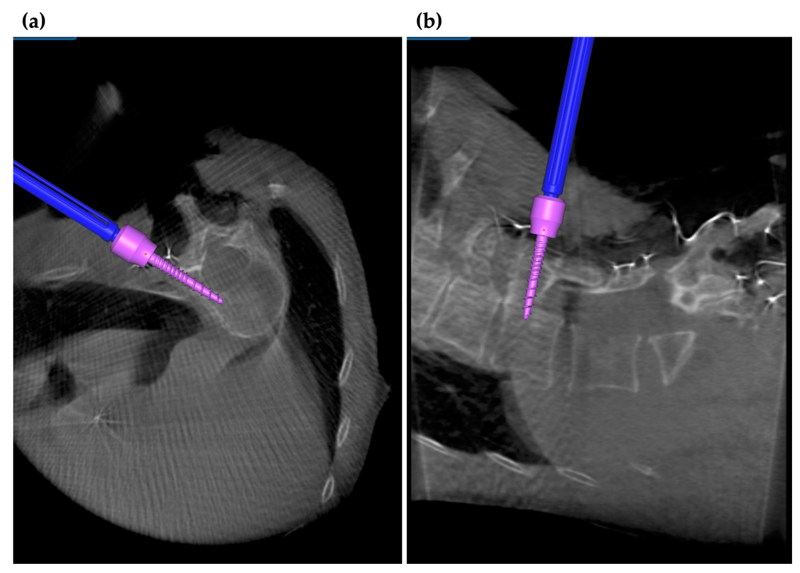 Medicina 58 00241 g004