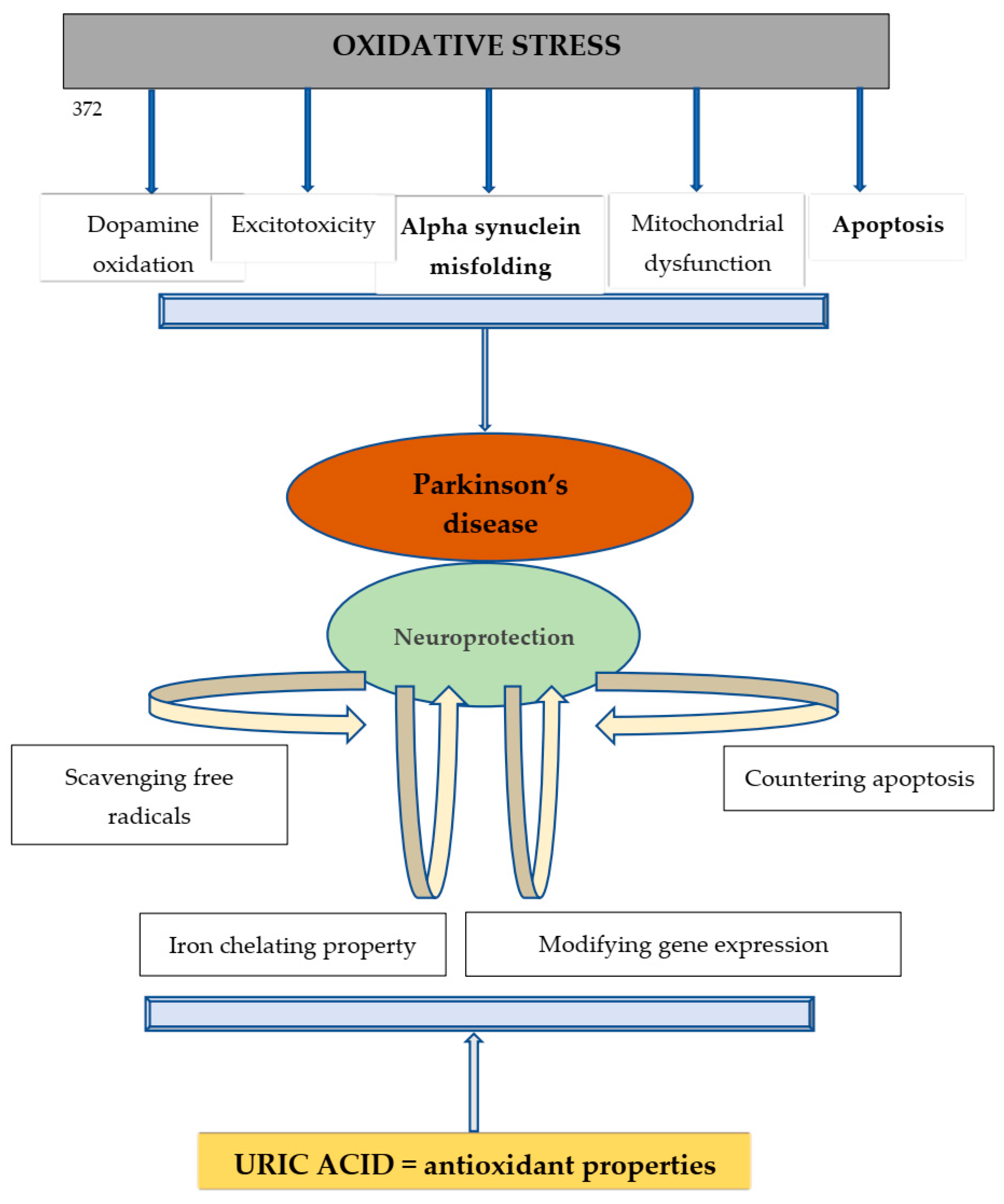 Medicina 58 00245 g002 550