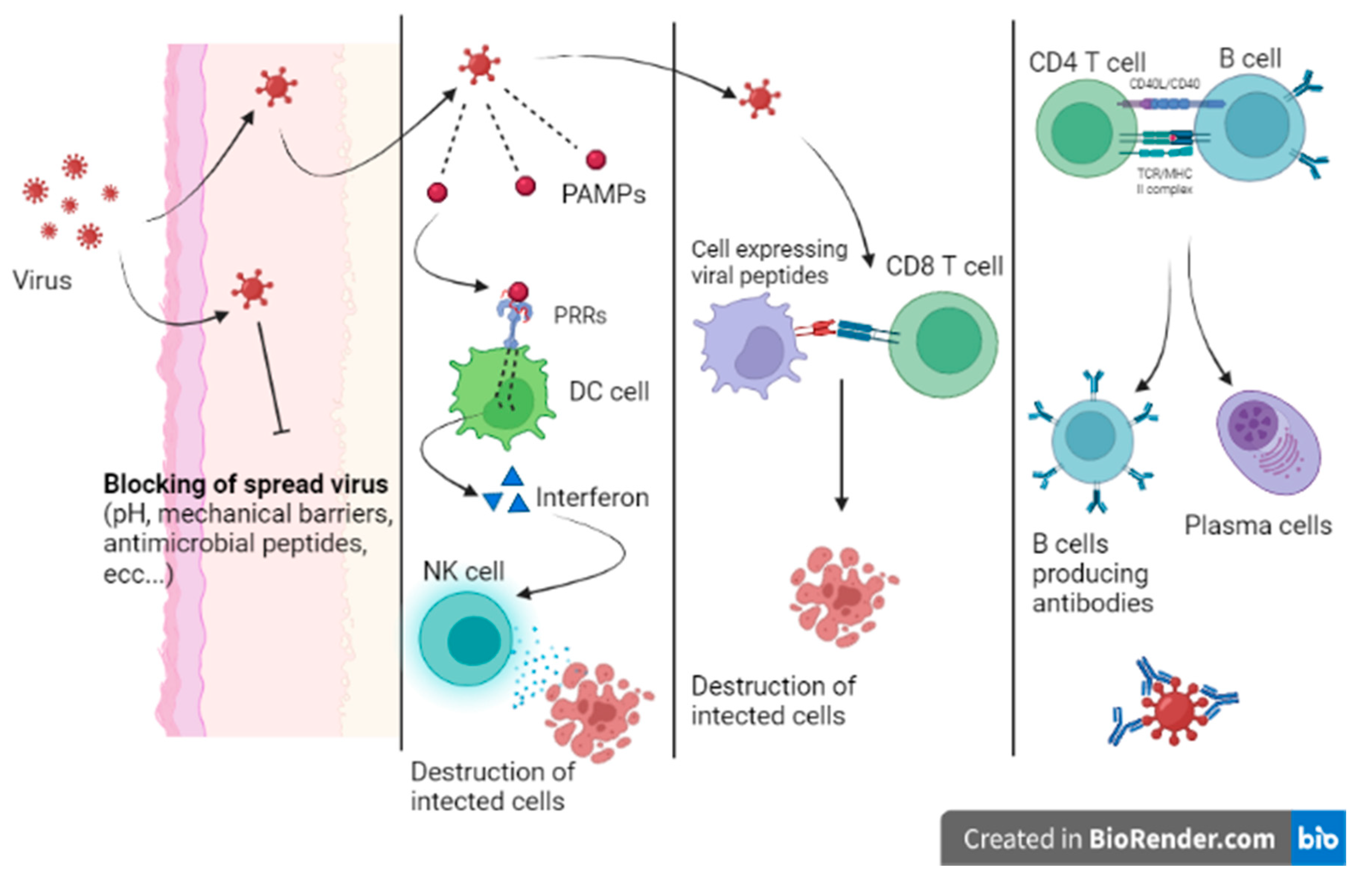 Medicina 58 00248 g003 550