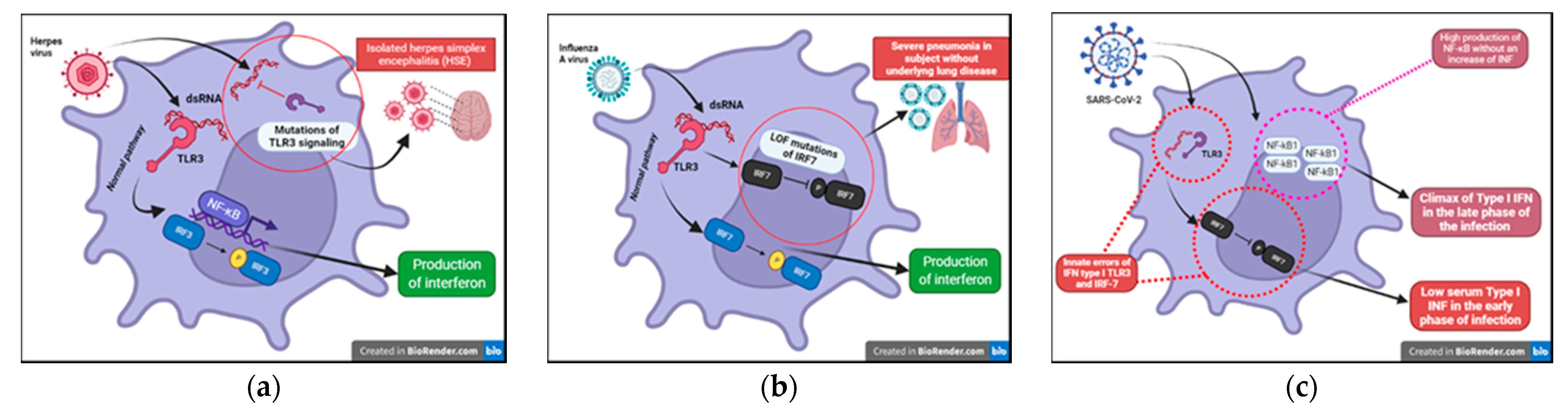 Medicina 58 00248 g006 550