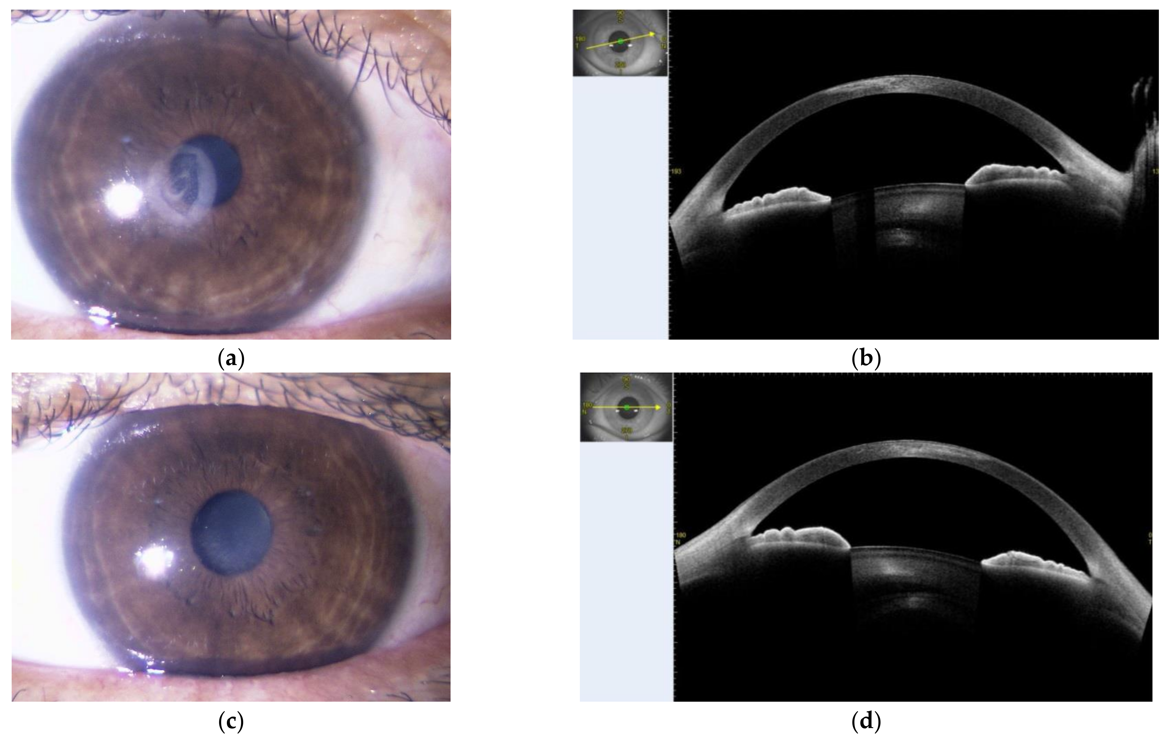 Medicina 58 00276 g004 550