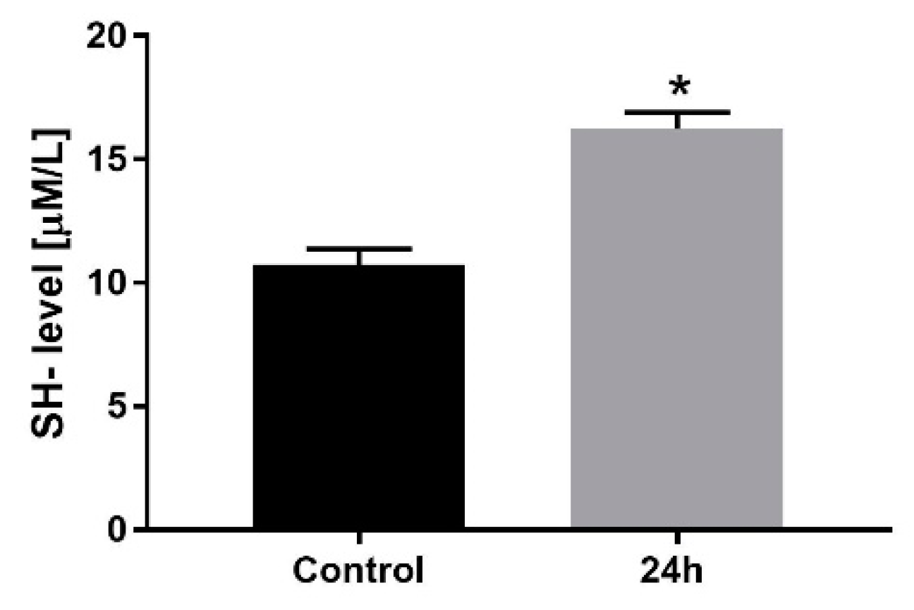 Medicina 58 00280 g004 Medicina 58 00280 g004