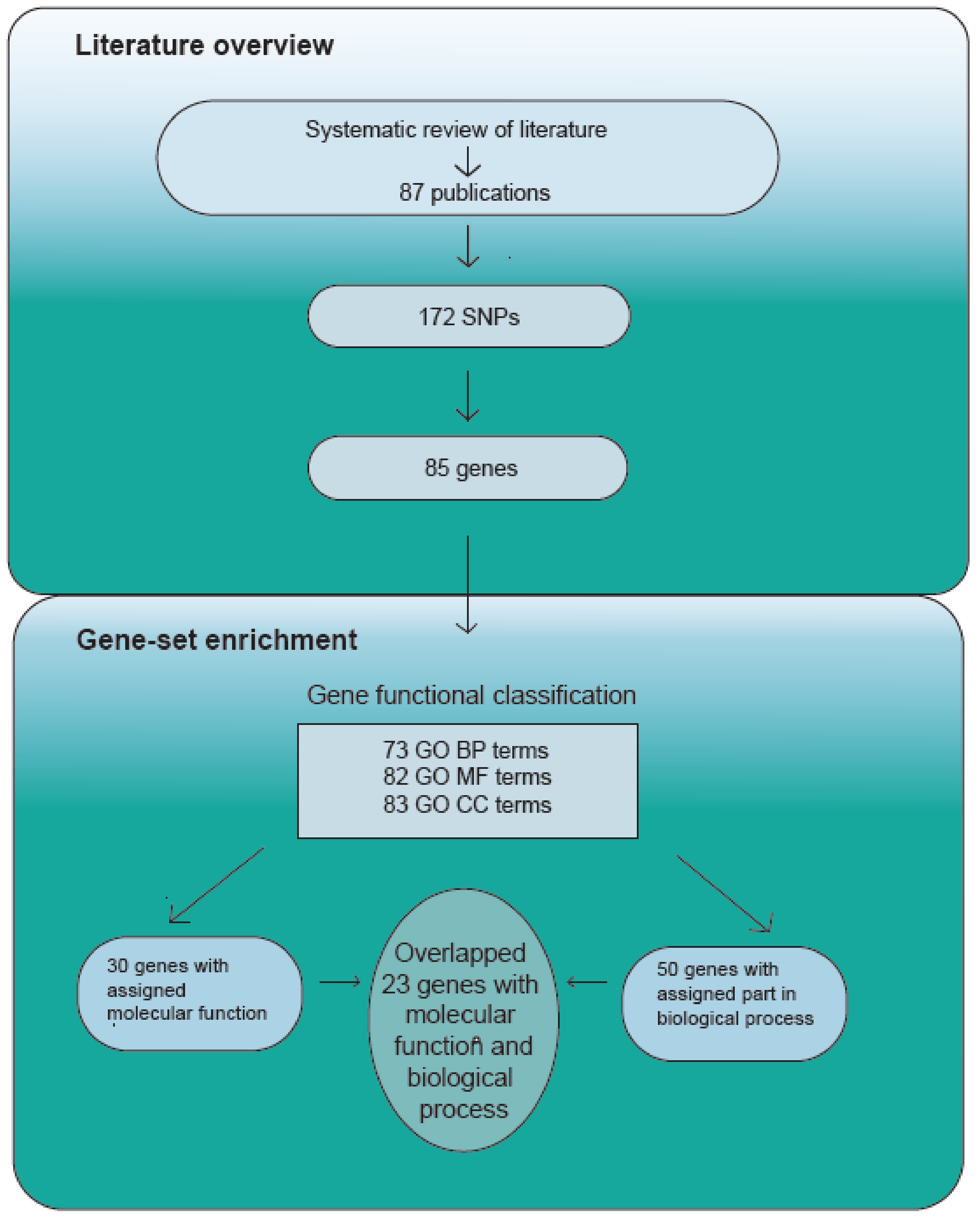 Medicina 58 00285 g002