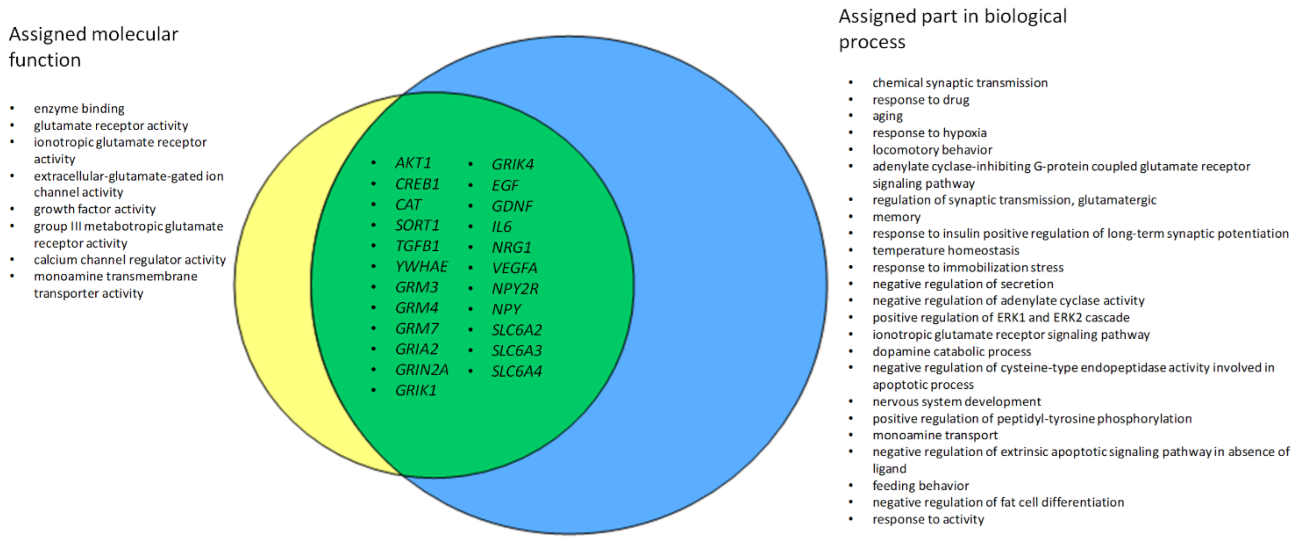 A Systematic Review of Candidate Genes for Major Depression