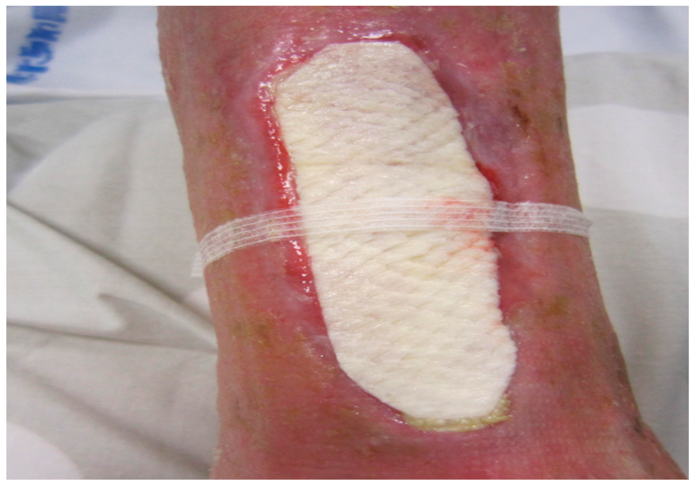 Medicina 58 00292 g002 550