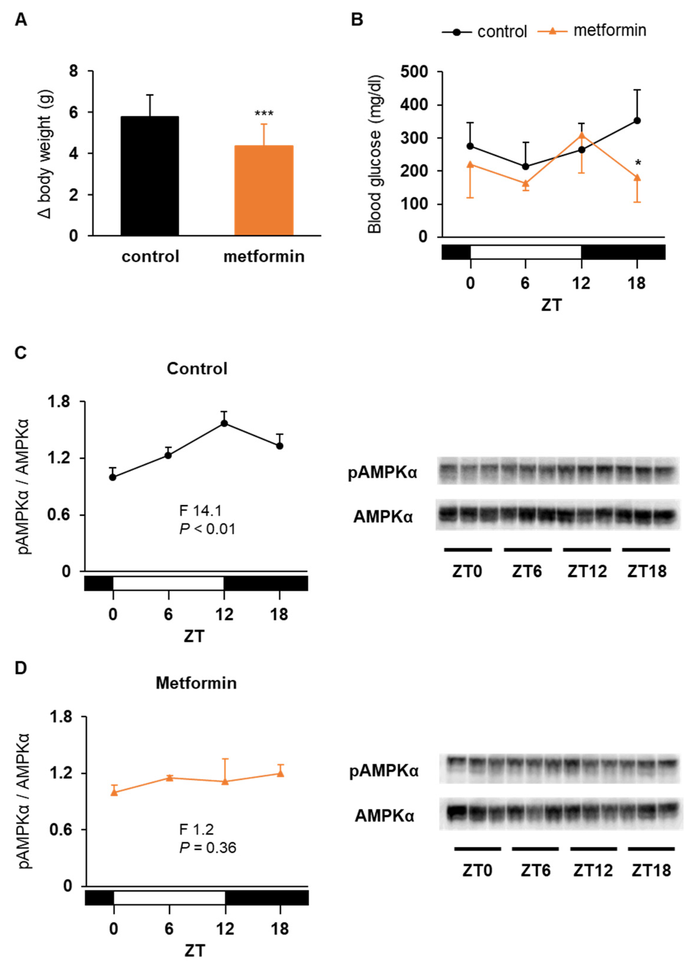 Medicina 58 00293 g004