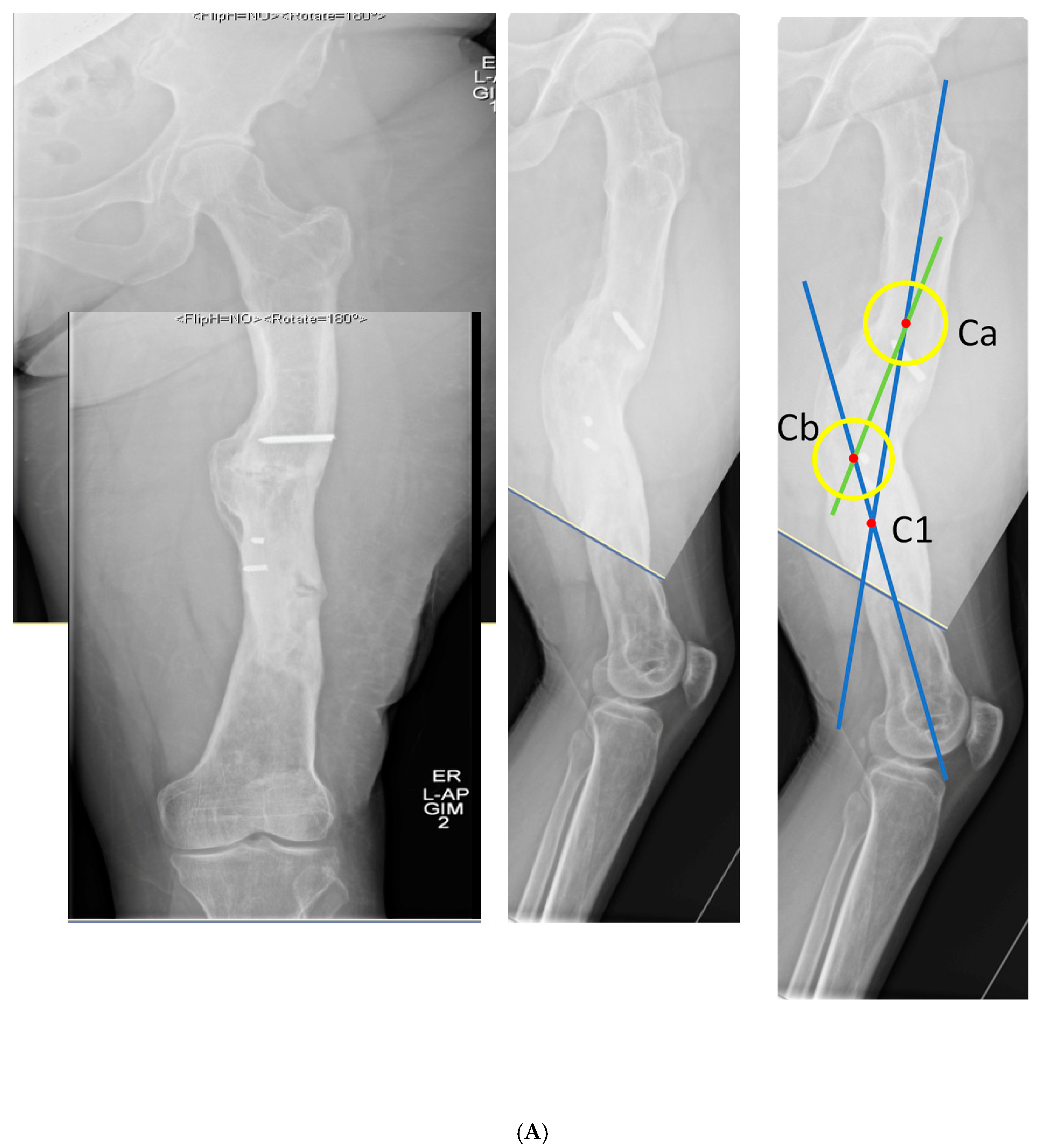 Medicina 58 00308 g006a