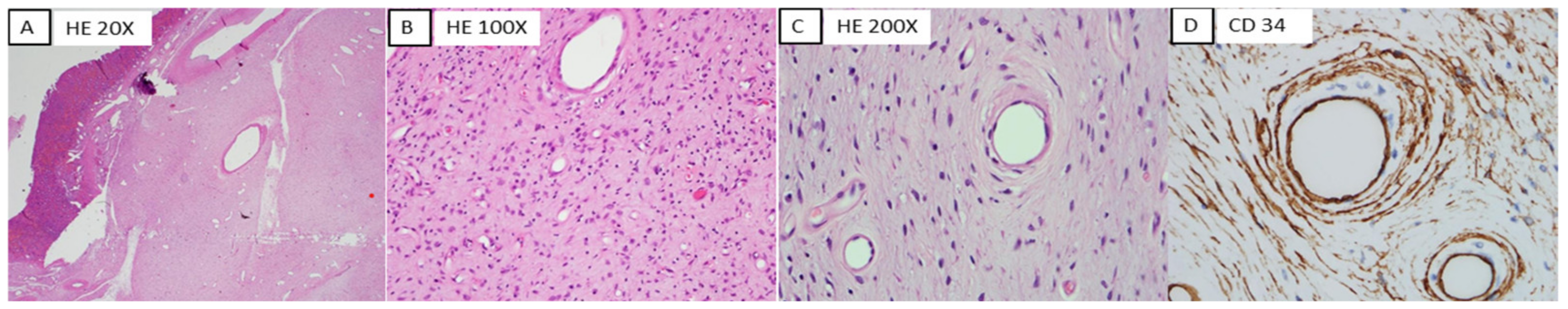 Medicina 58 00310 g004 550