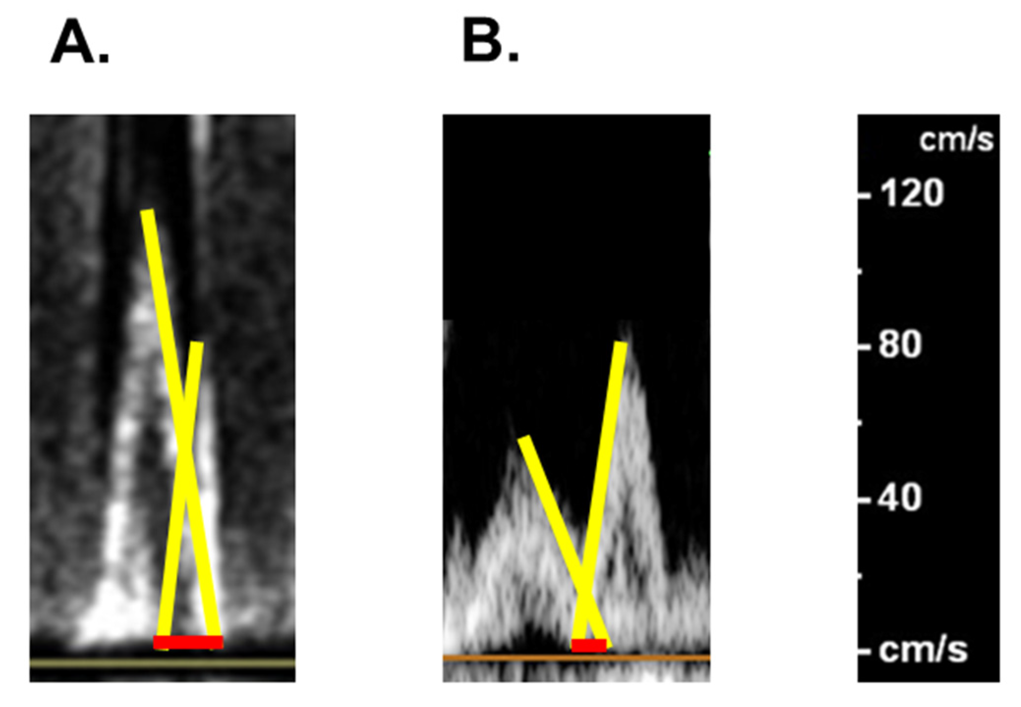 Medicina 58 00312 g005 550