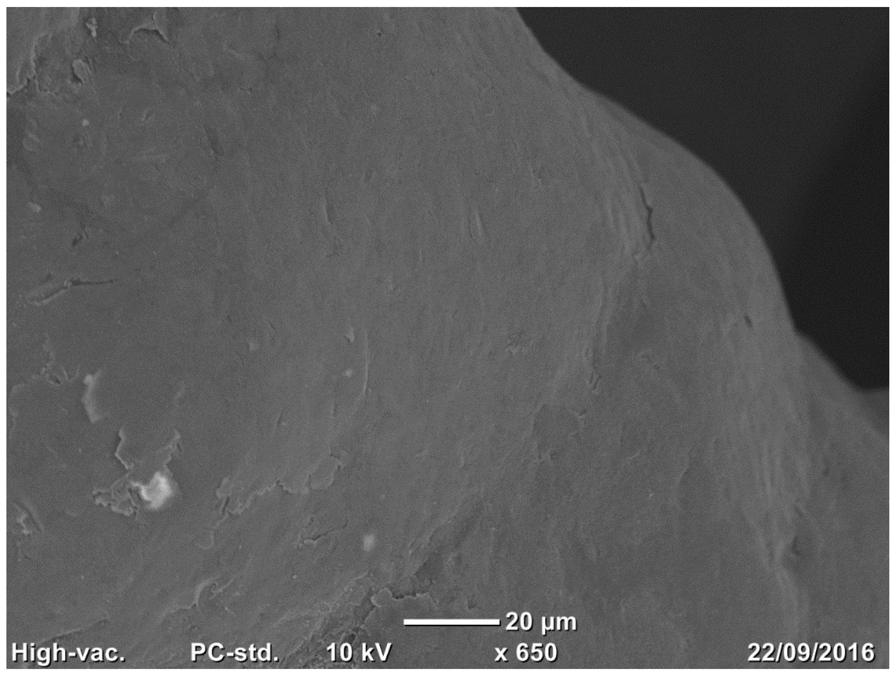 Medicina 58 00315 g002 550