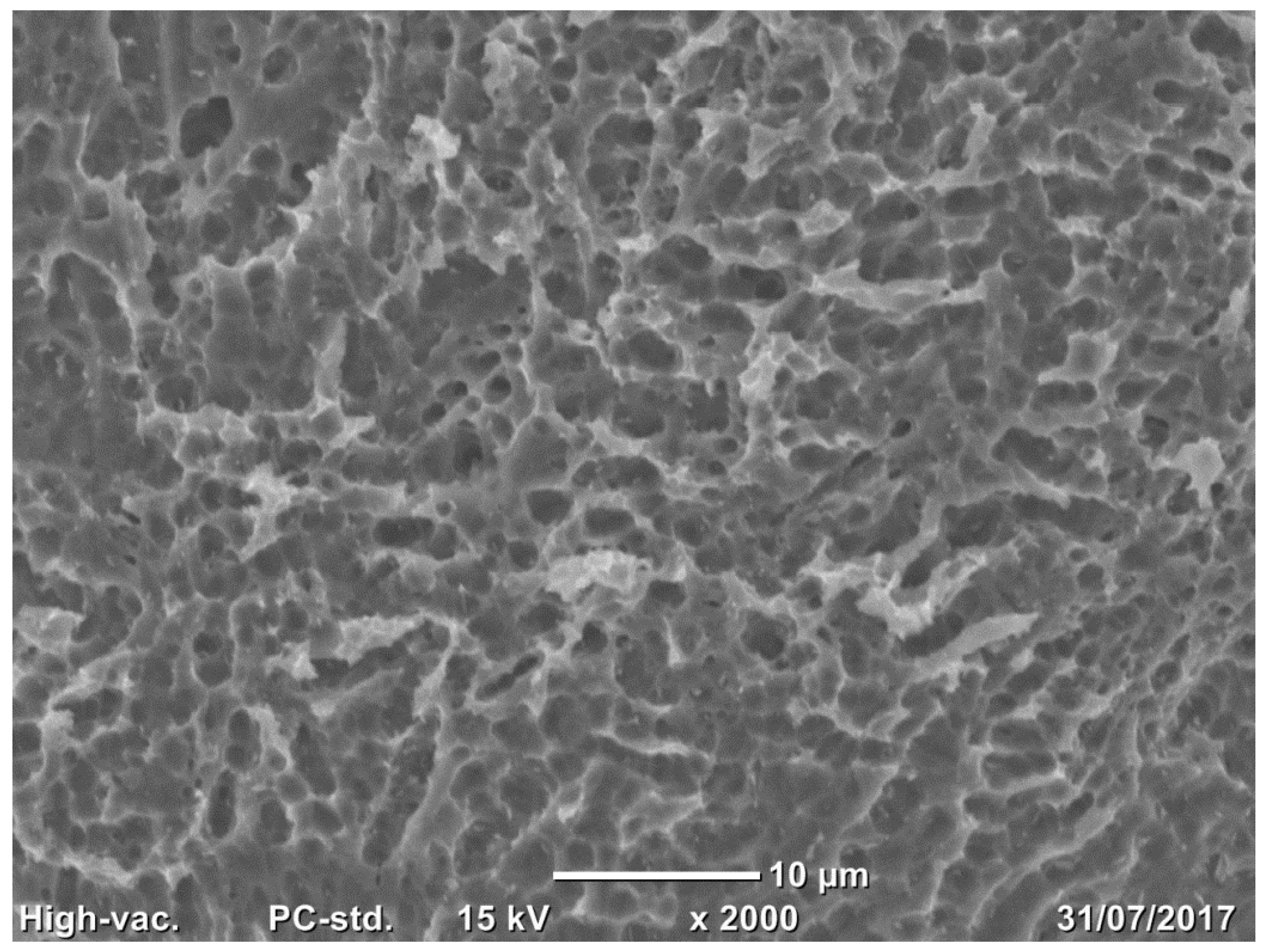 Medicina 58 00315 g003 550