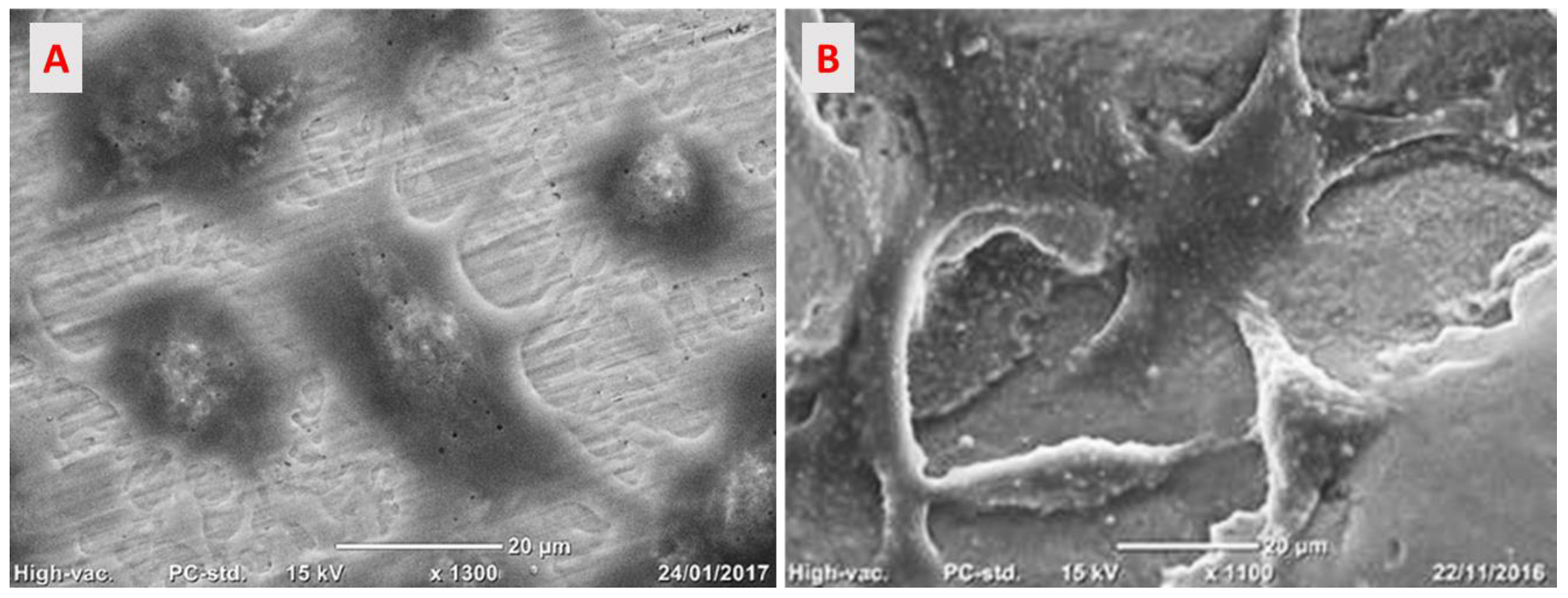 Medicina 58 00315 g008 550