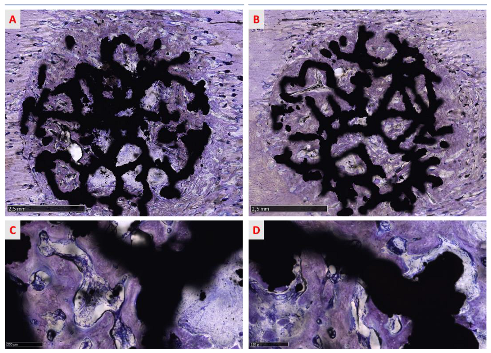 Medicina 58 00315 g009 550