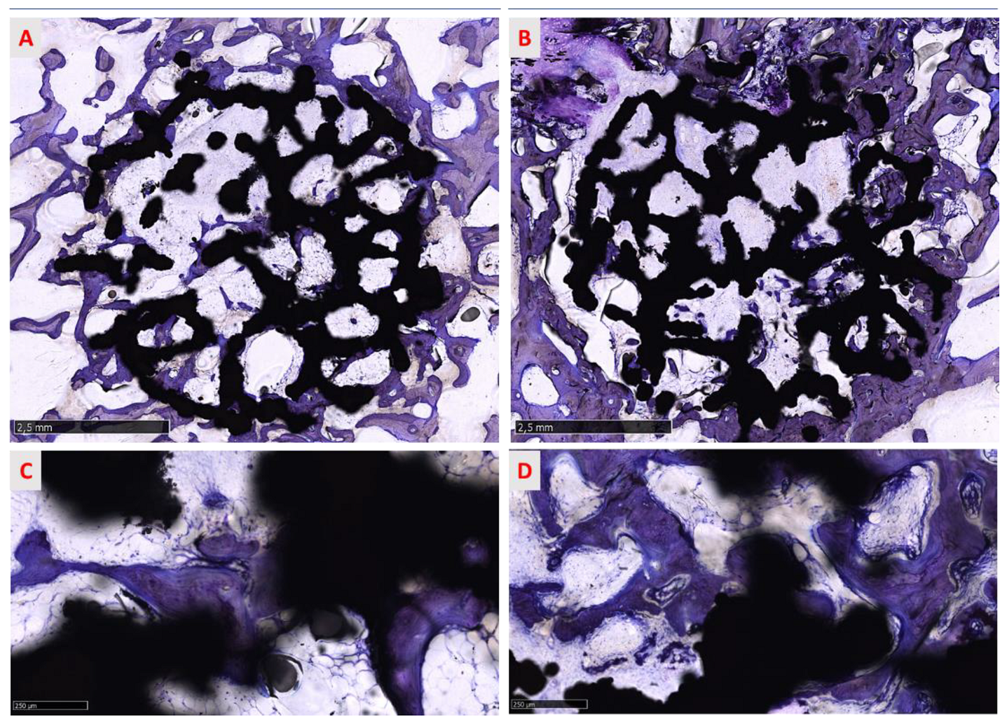 Medicina 58 00315 g010 550