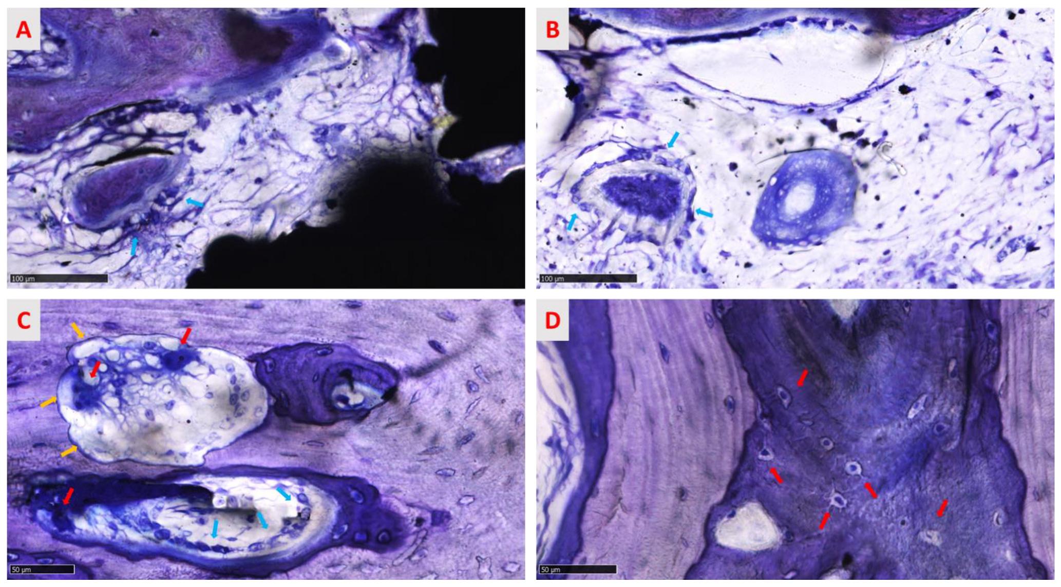 Medicina 58 00315 g012 550