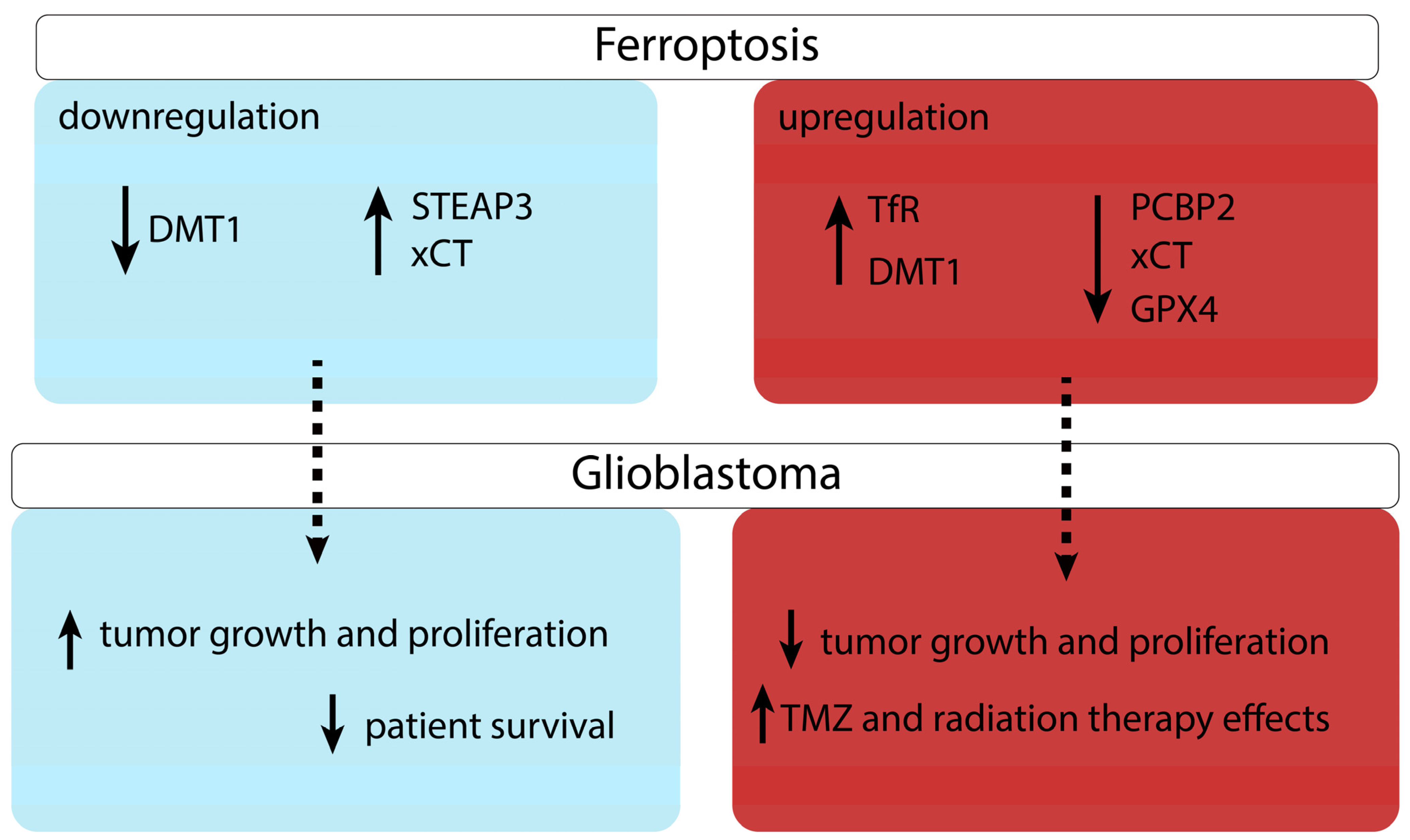 Medicina 58 00319 g002 Medicina 58 00319 g002