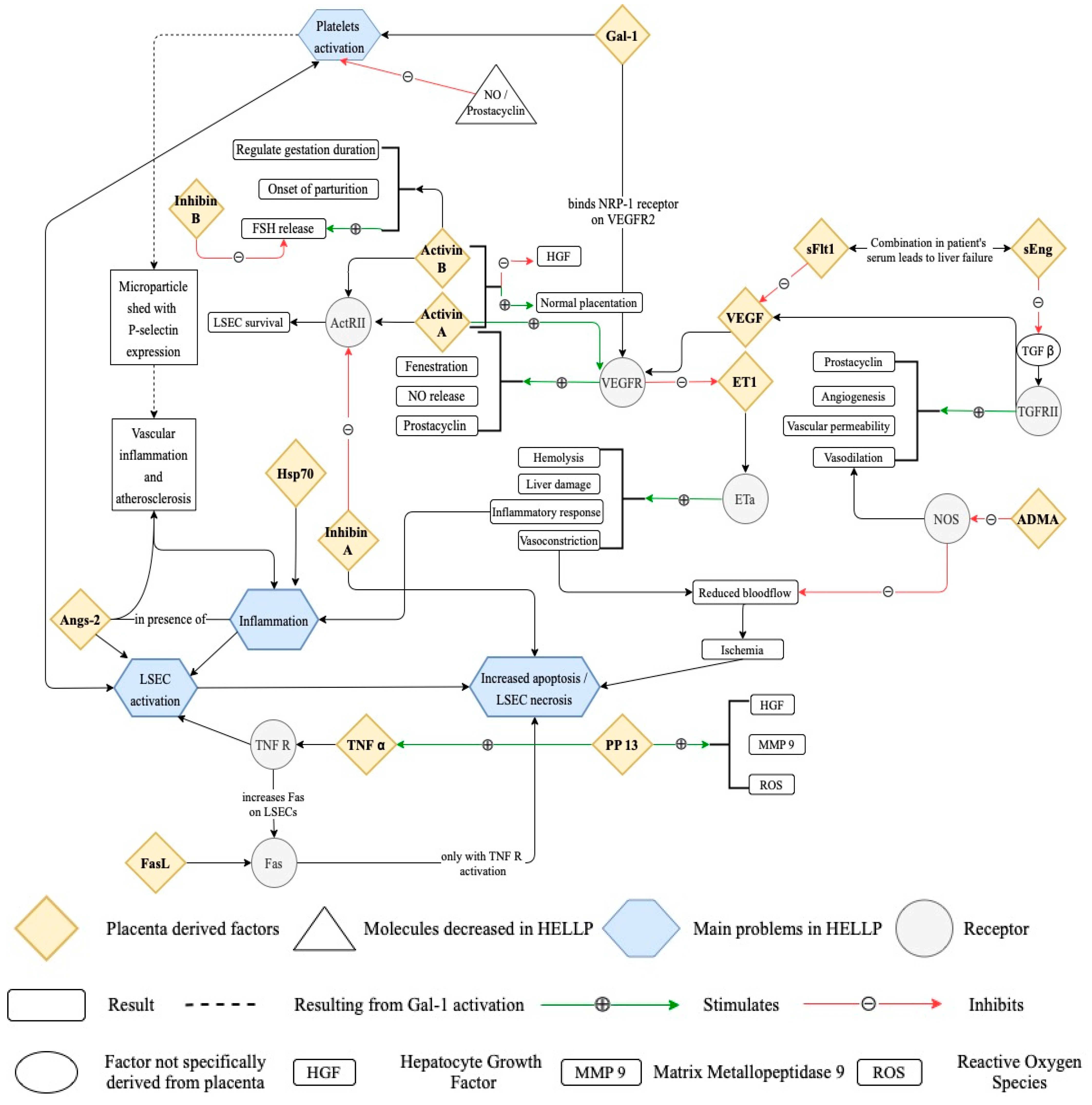 Medicina 58 00326 g001 Medicina 58 00326 g001