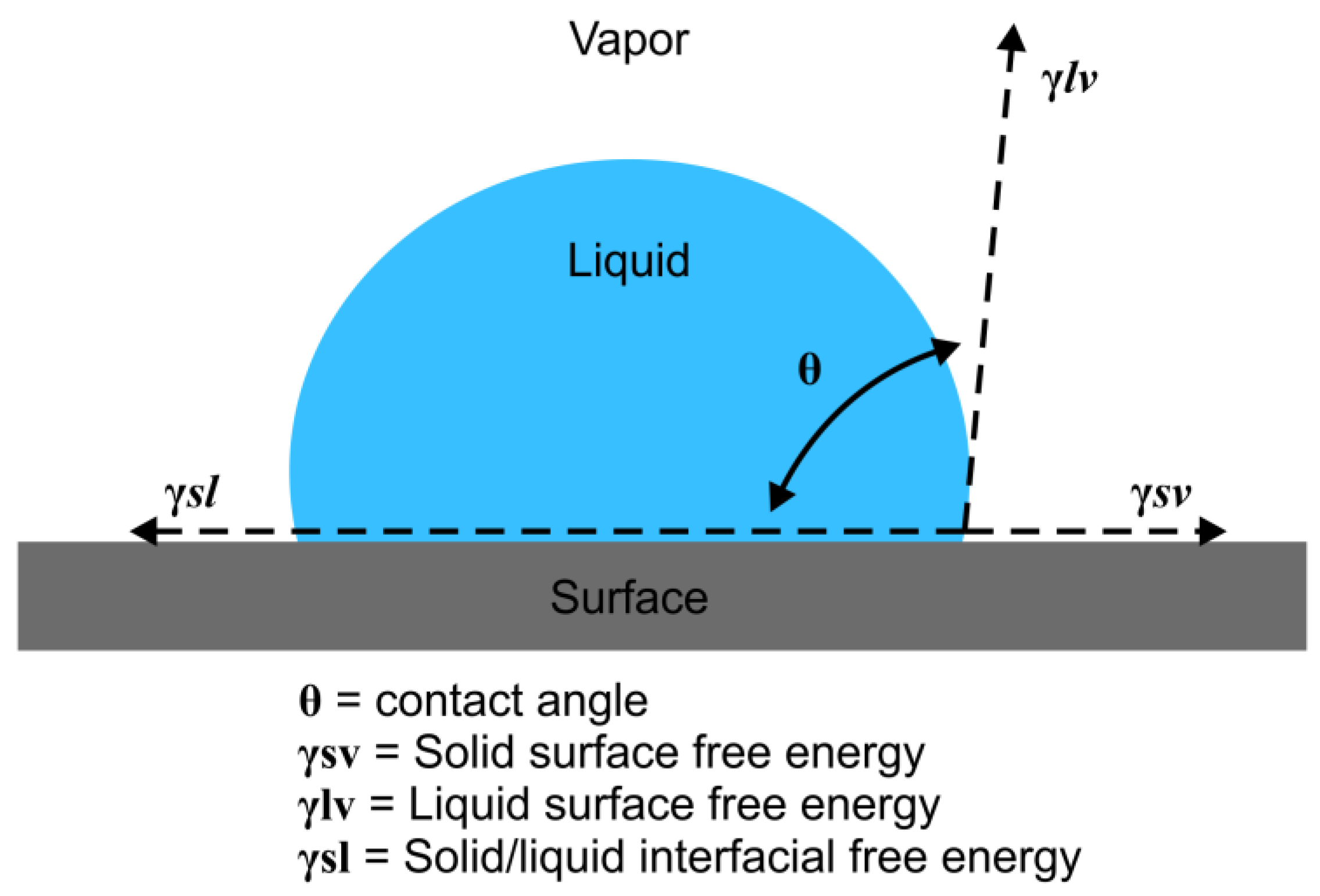 Medicina 58 00329 g002