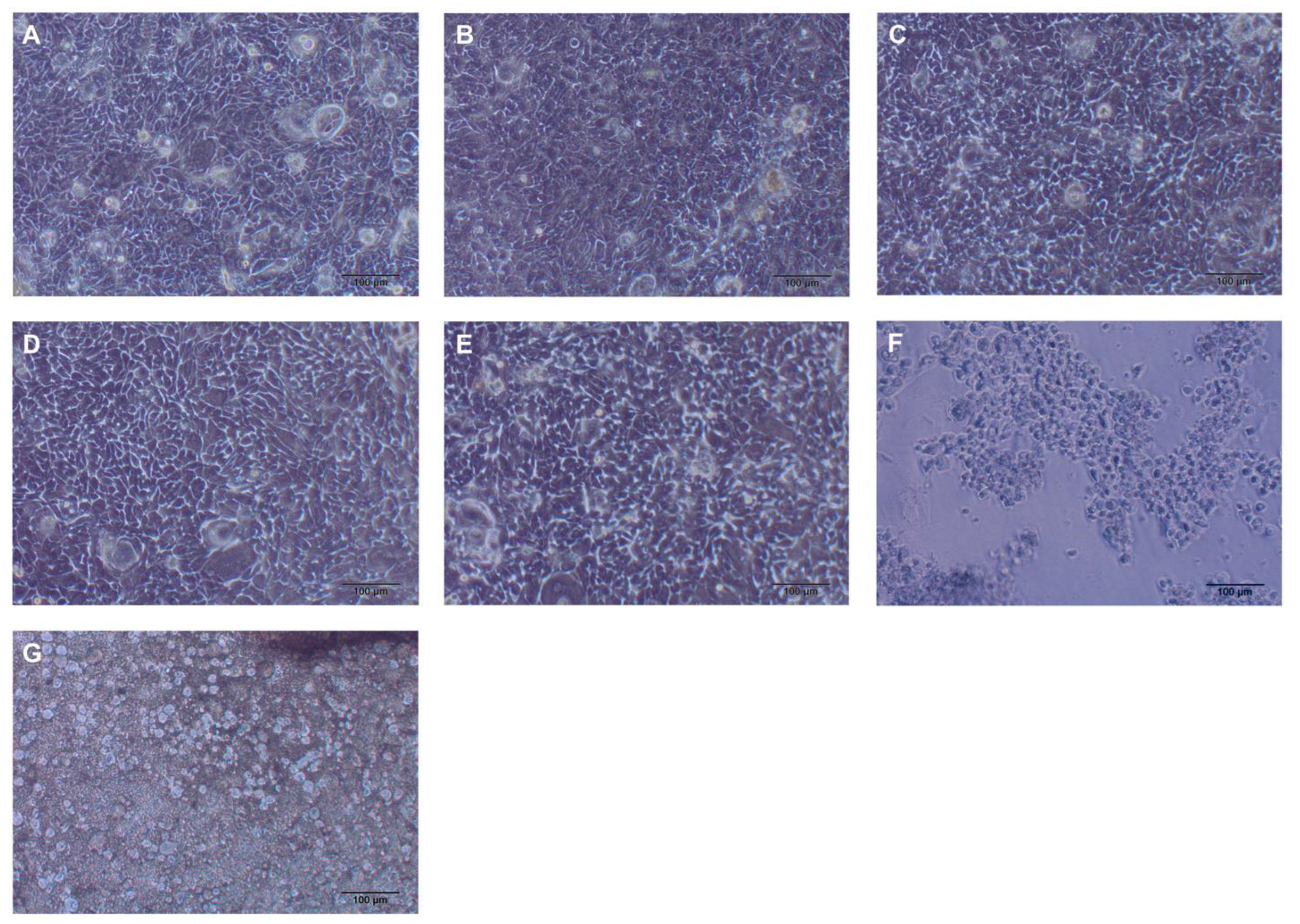 Medicina 58 00329 g006