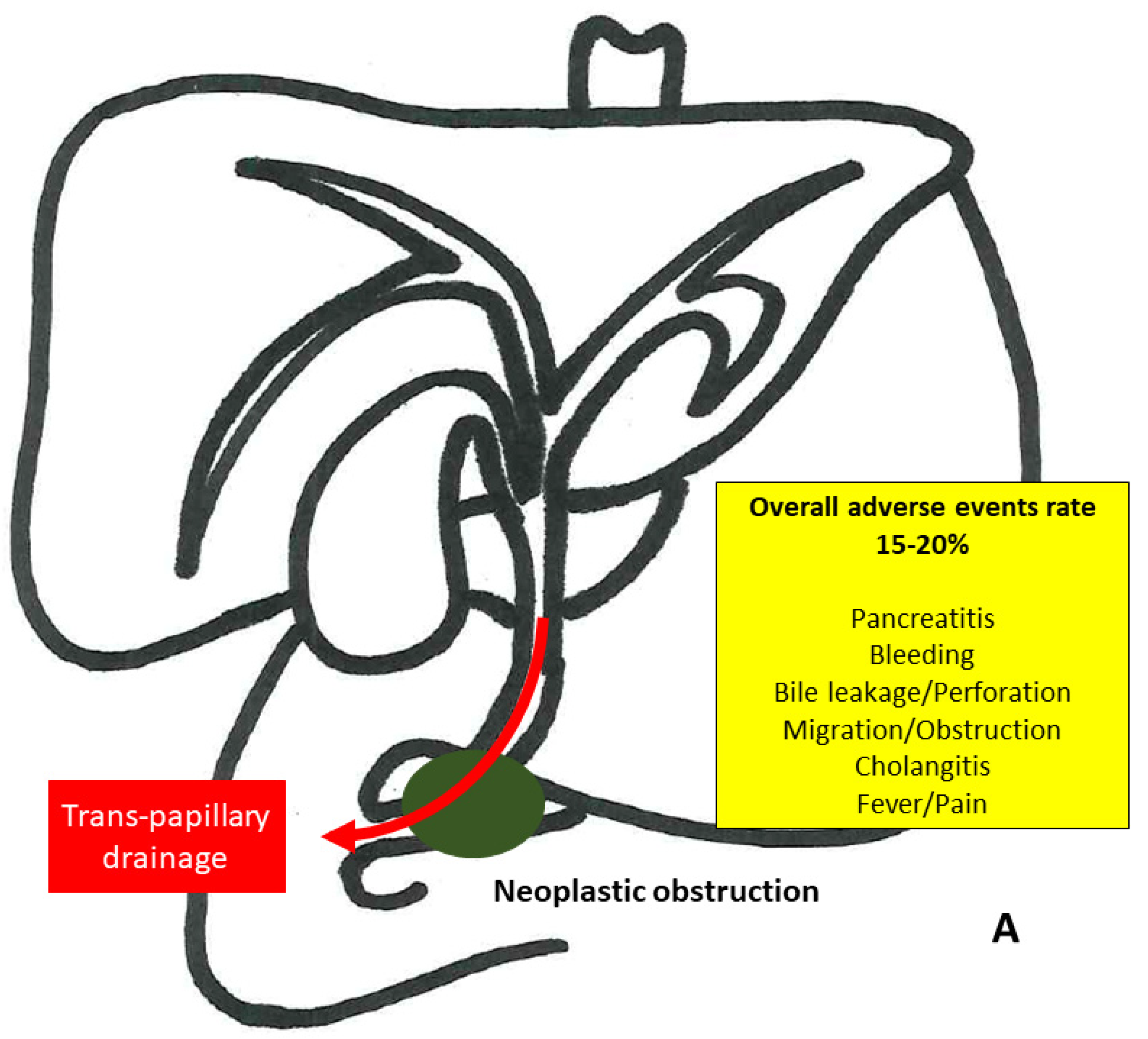 Medicina 58 00331 g001a 550