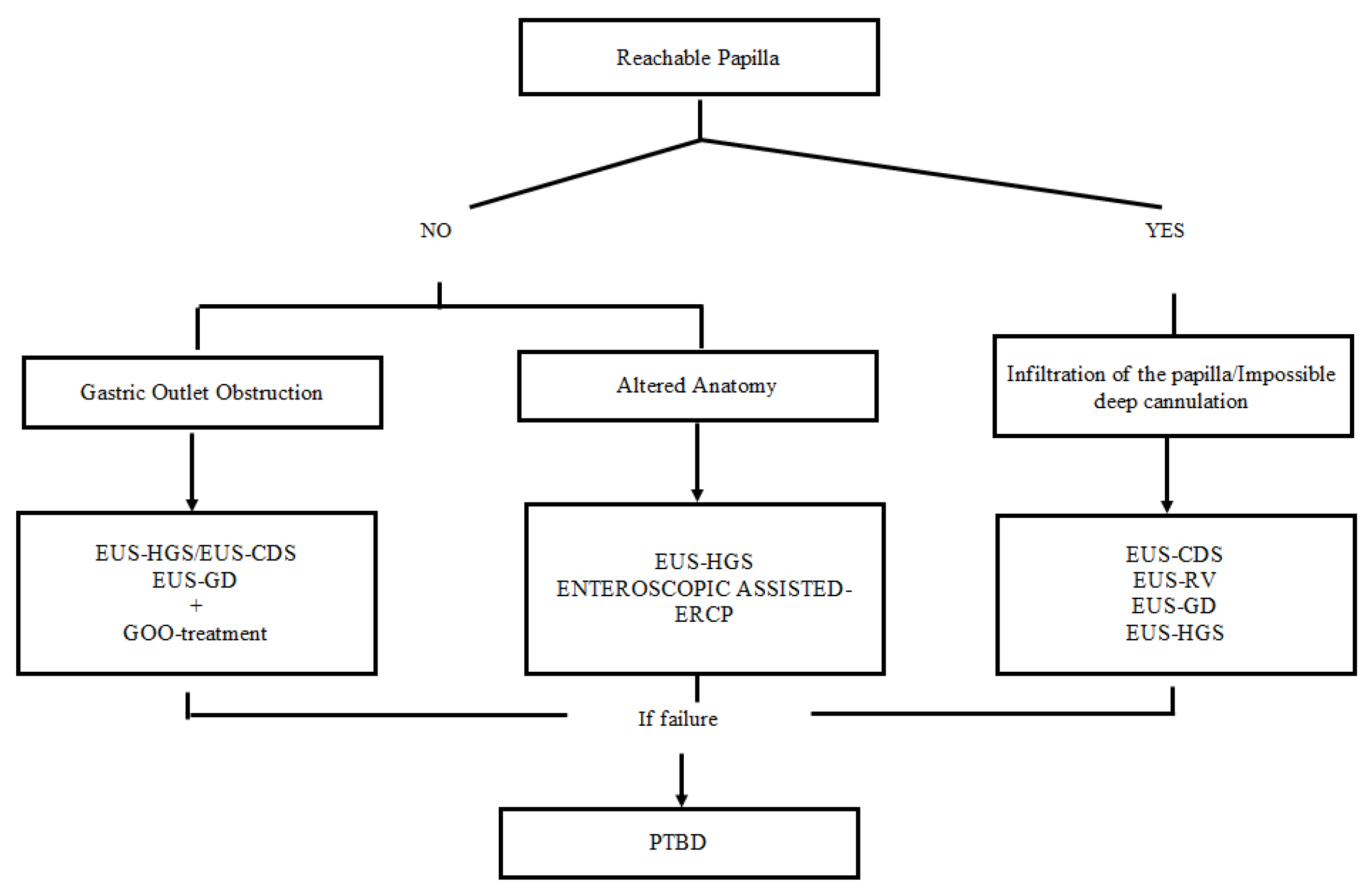 Medicina 58 00331 g002 550