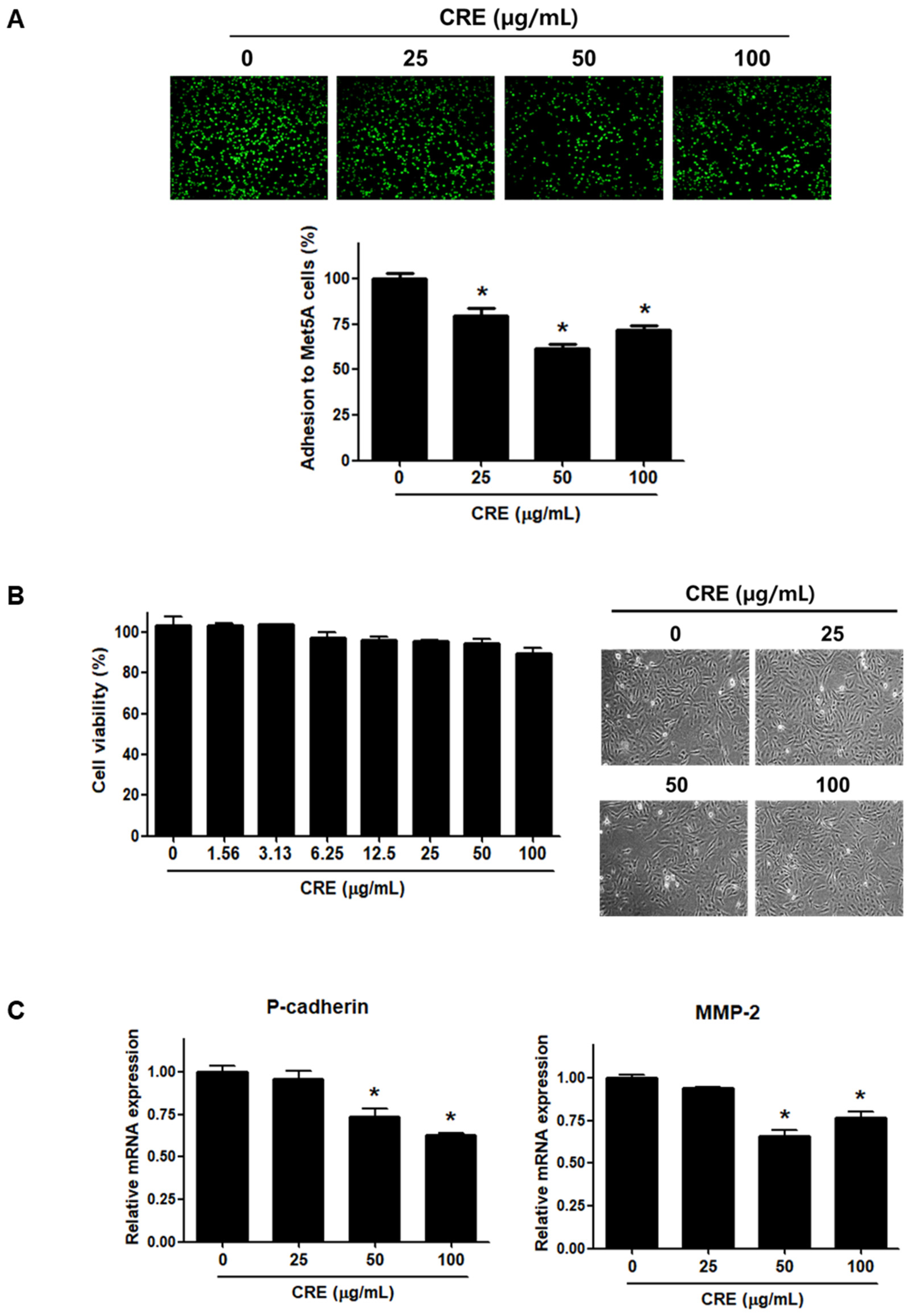 Medicina 58 00335 g001 550