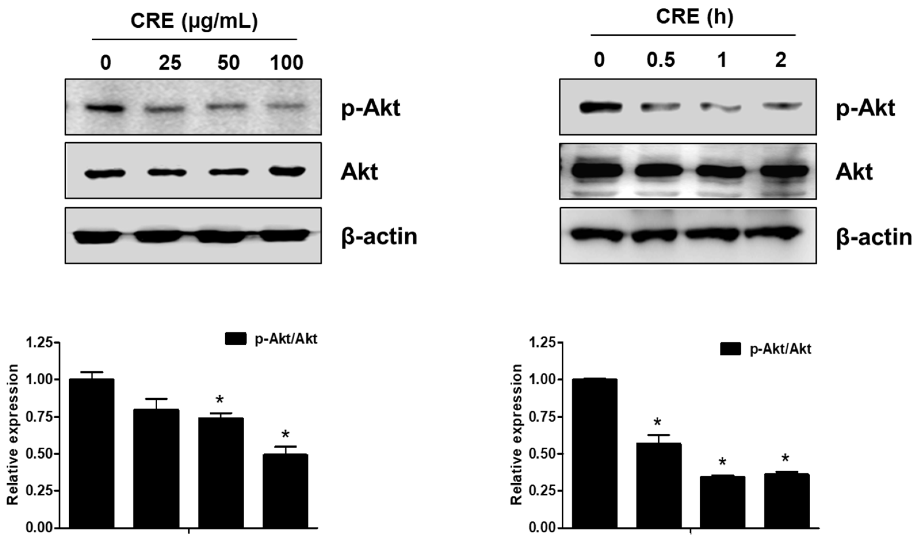 Medicina 58 00335 g003 550