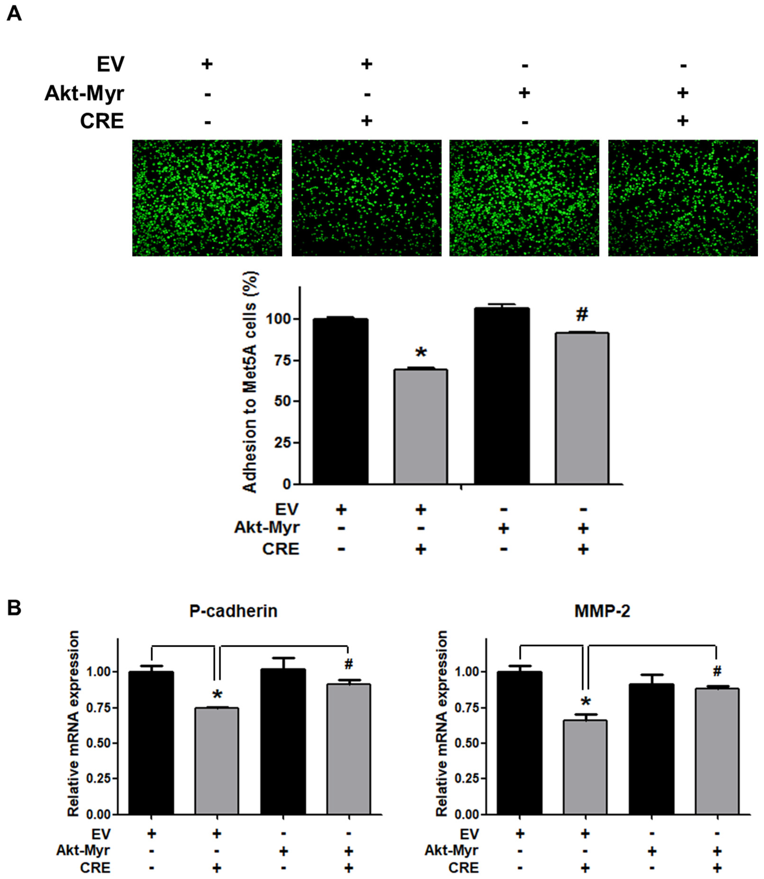 Medicina 58 00335 g004 550