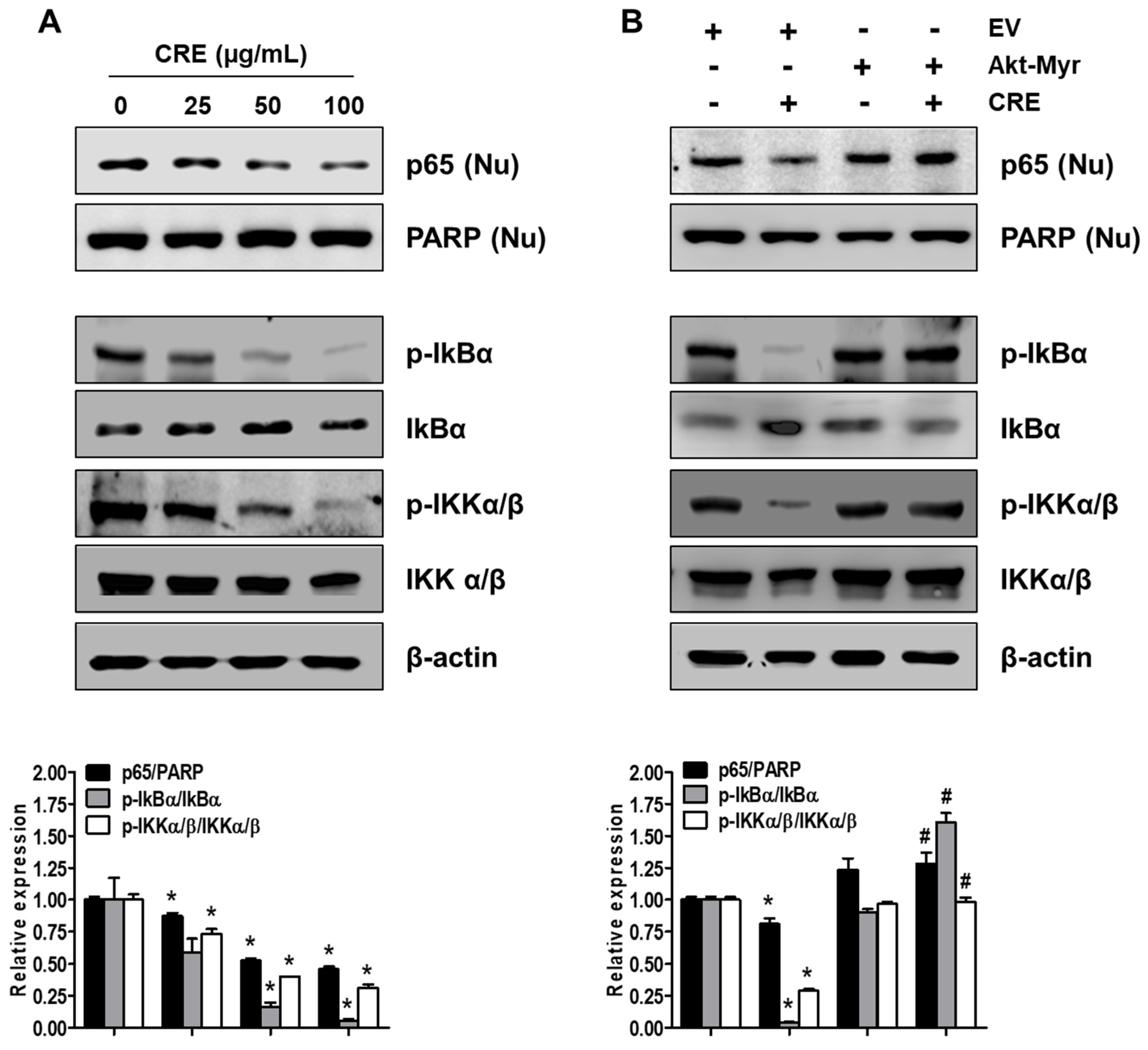 Medicina 58 00335 g006 550