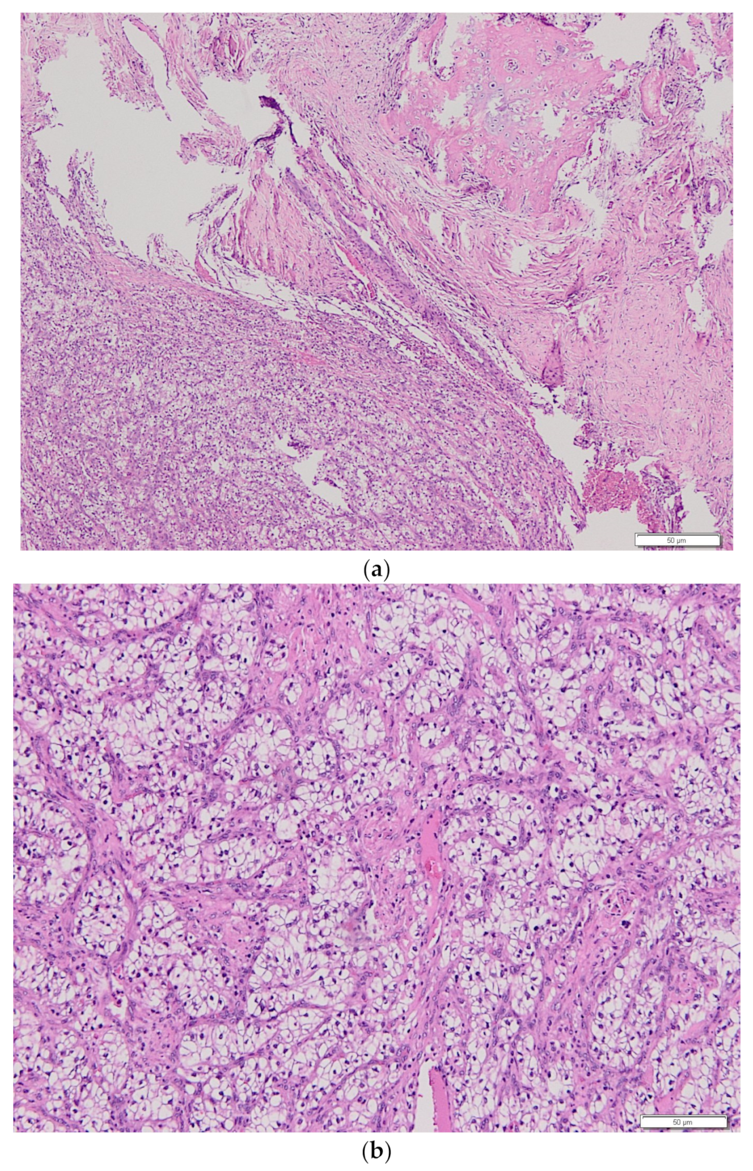 Medicina 58 00336 g002 550