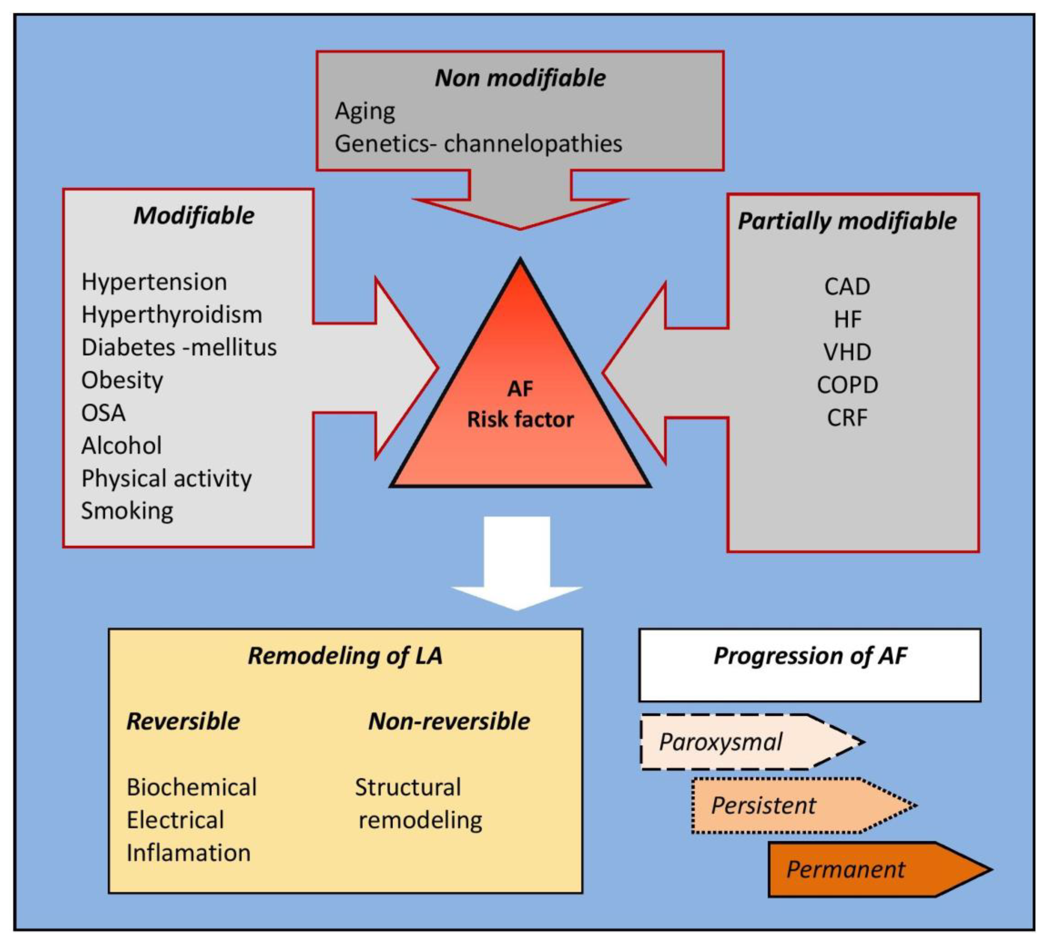 Medicina 58 00338 g001 550